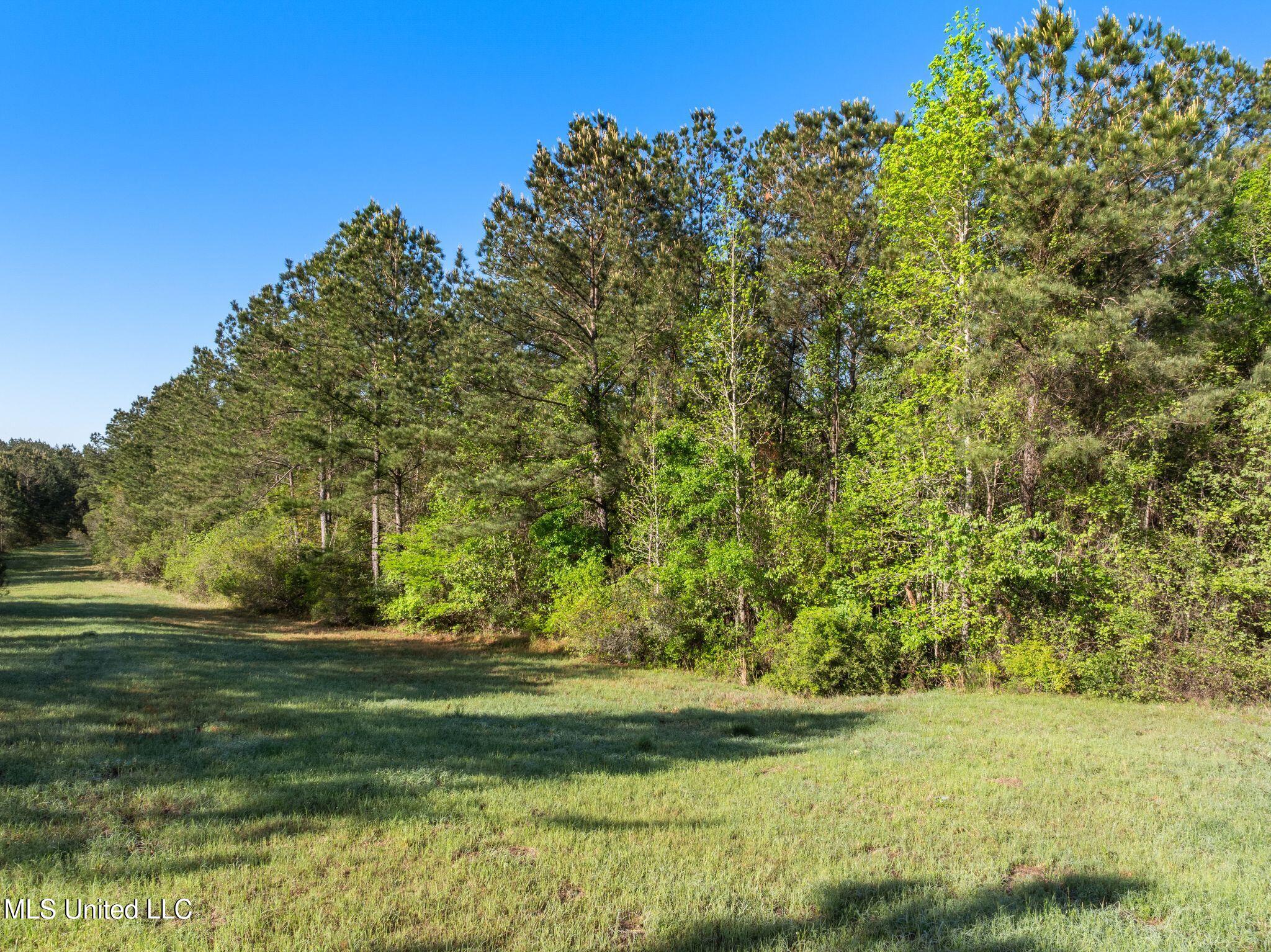 Old Hwy 63 N Property Photo 8