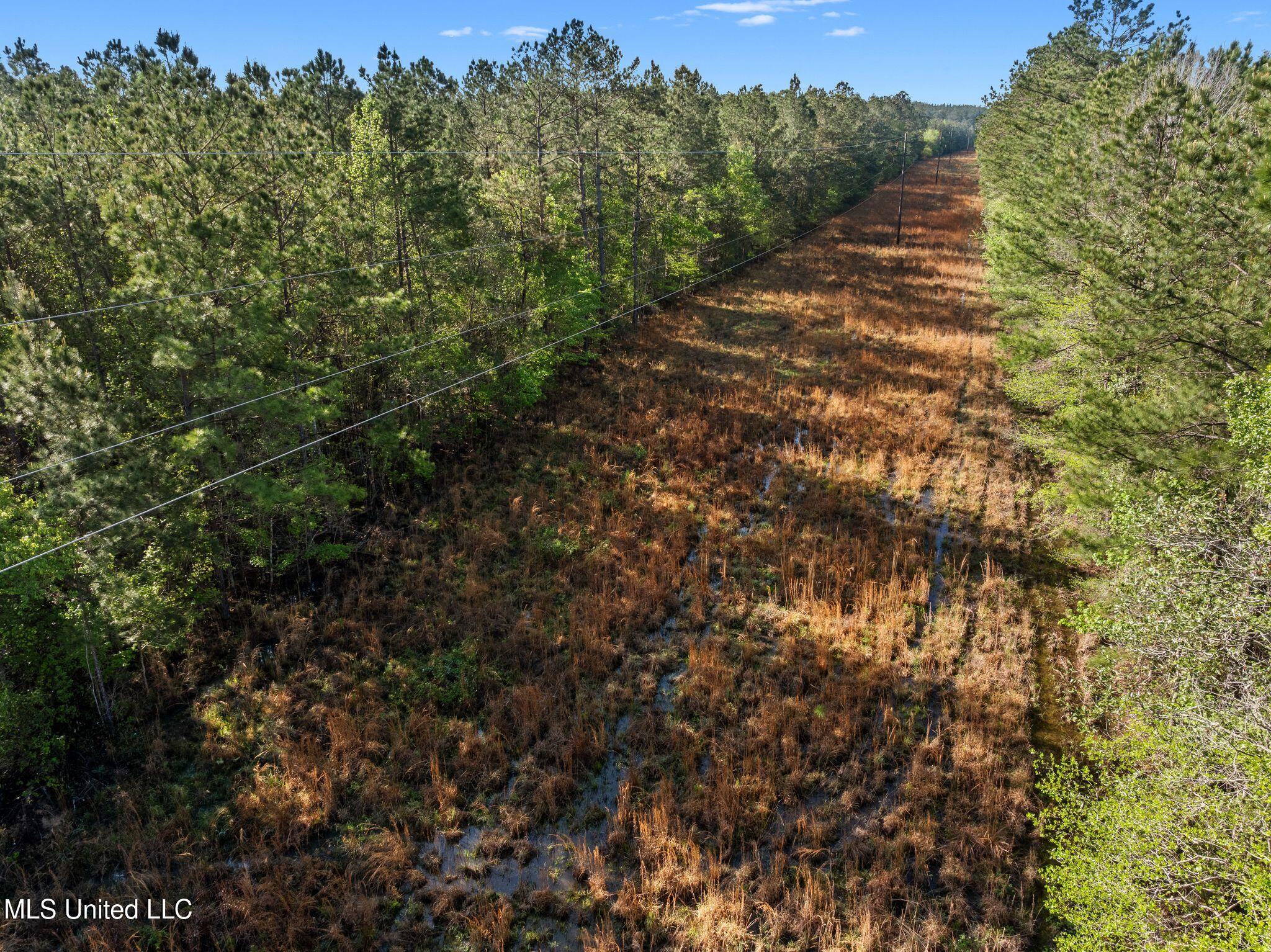 Old Hwy 63 N Property Photo 13