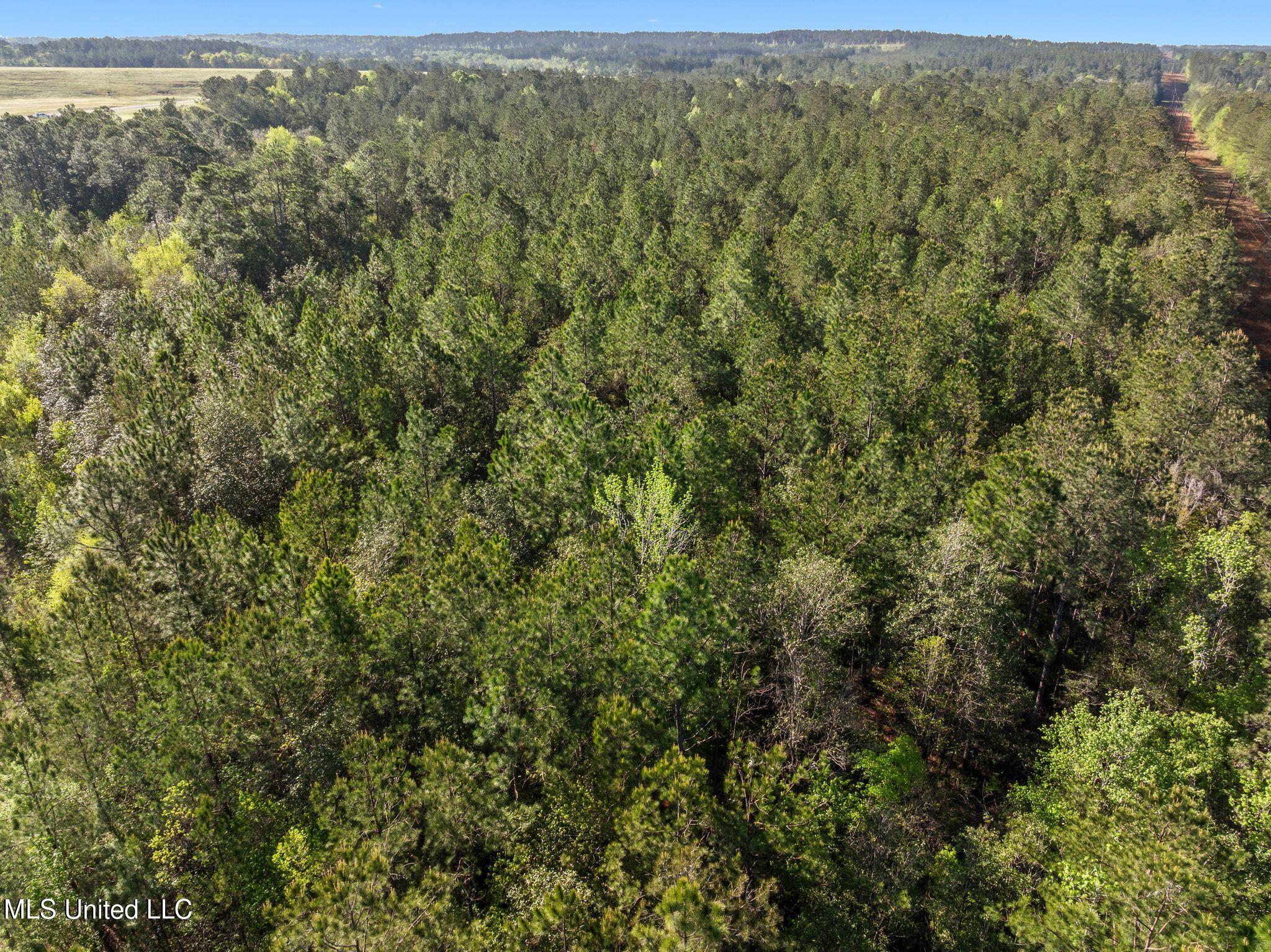 Old Hwy 63 N Property Photo 17