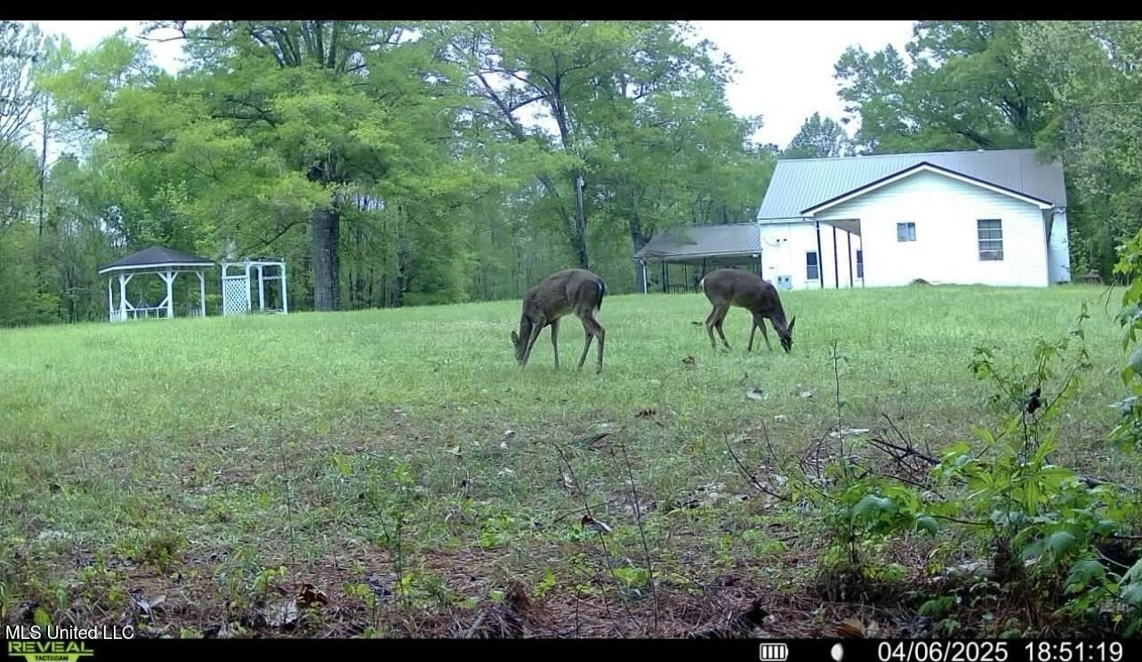 3489 White Apple Road Property Photo 4