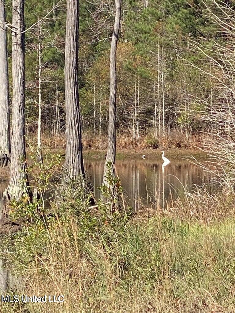 Old Hwy 49 Property Photo 1