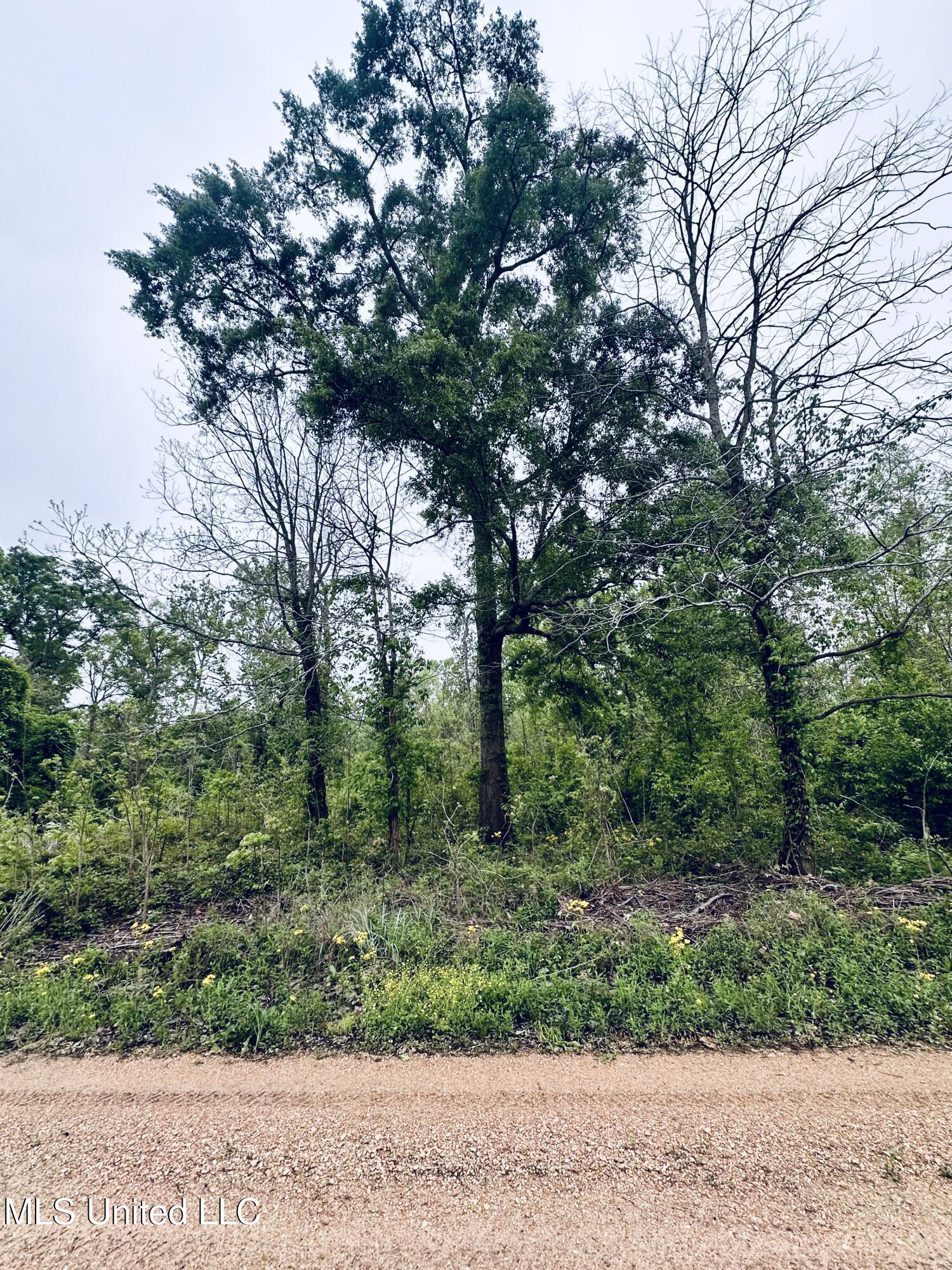 Pecan Grove Road Property Photo