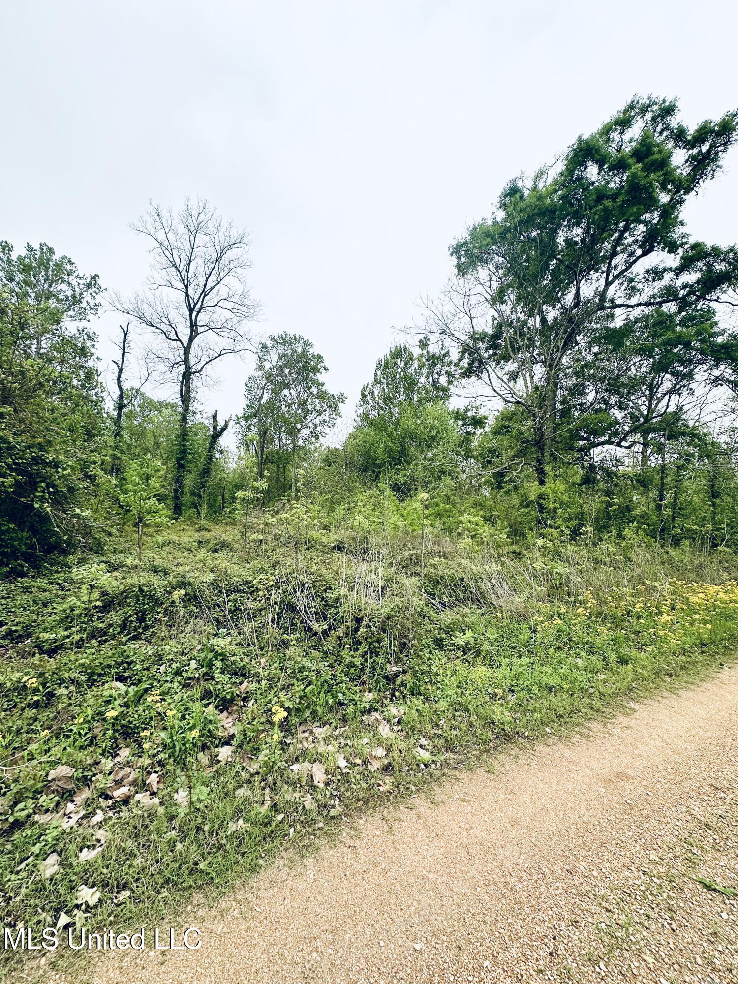 Pecan Grove Road Property Photo 2