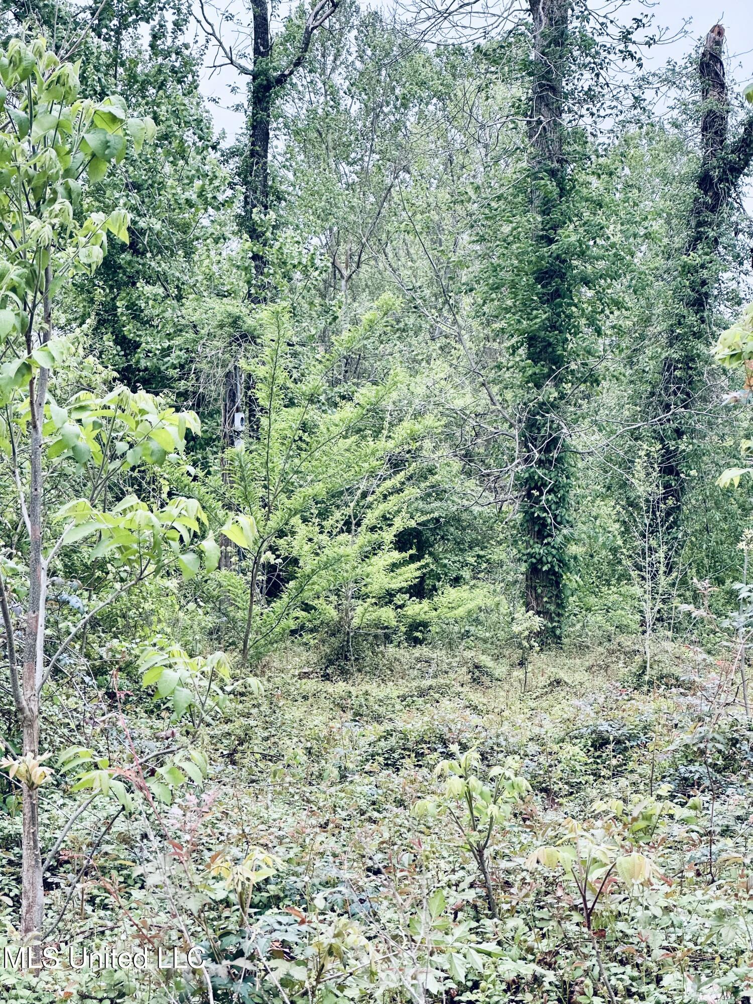Pecan Grove Road Property Photo 3