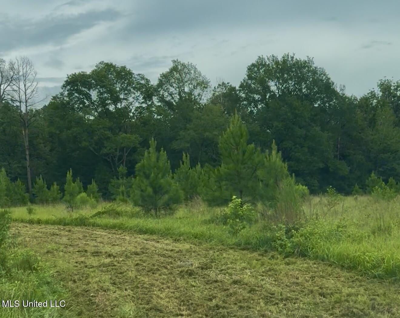Us-51 Property Photo 1