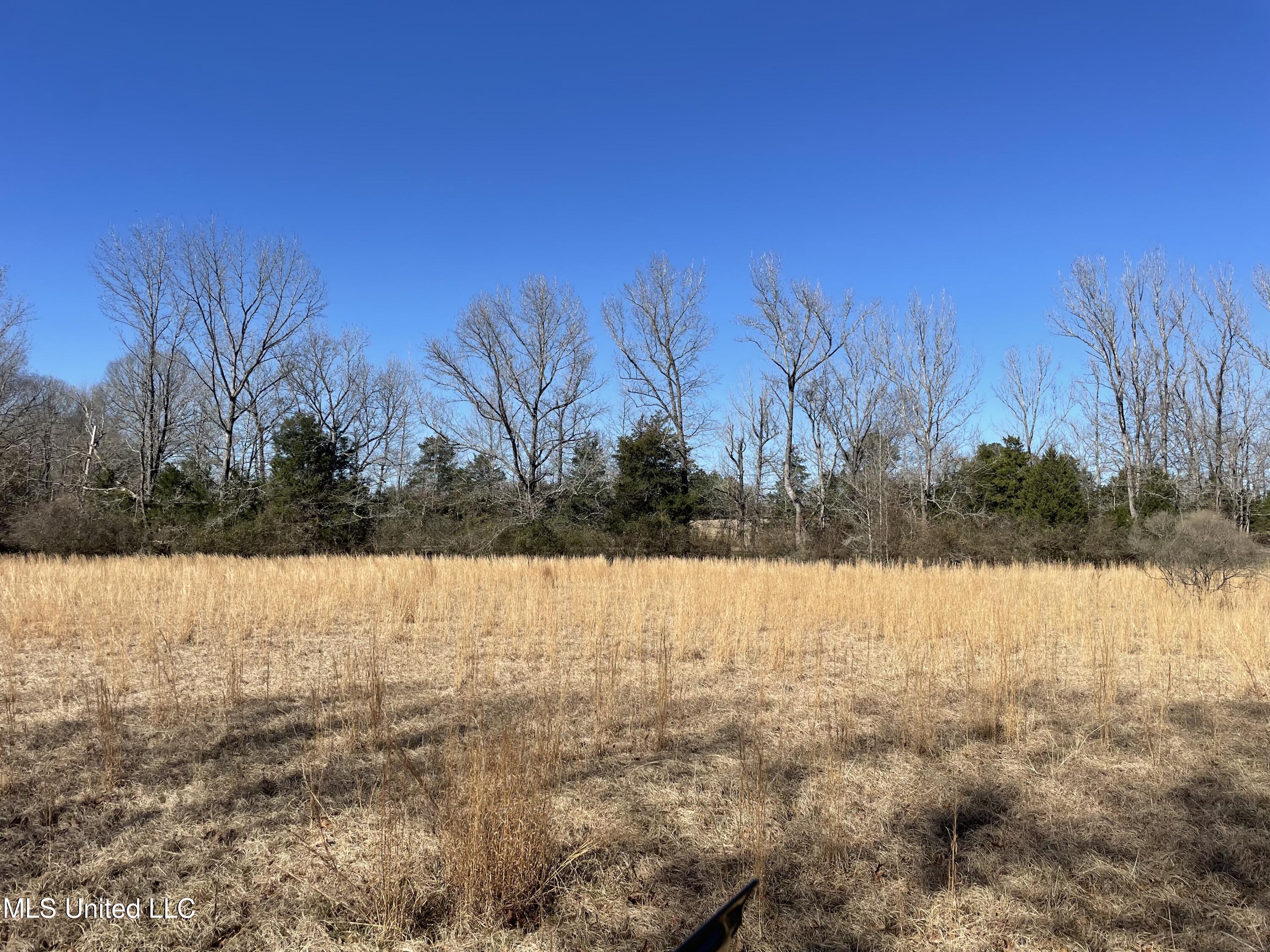 Us-51 Property Photo 6