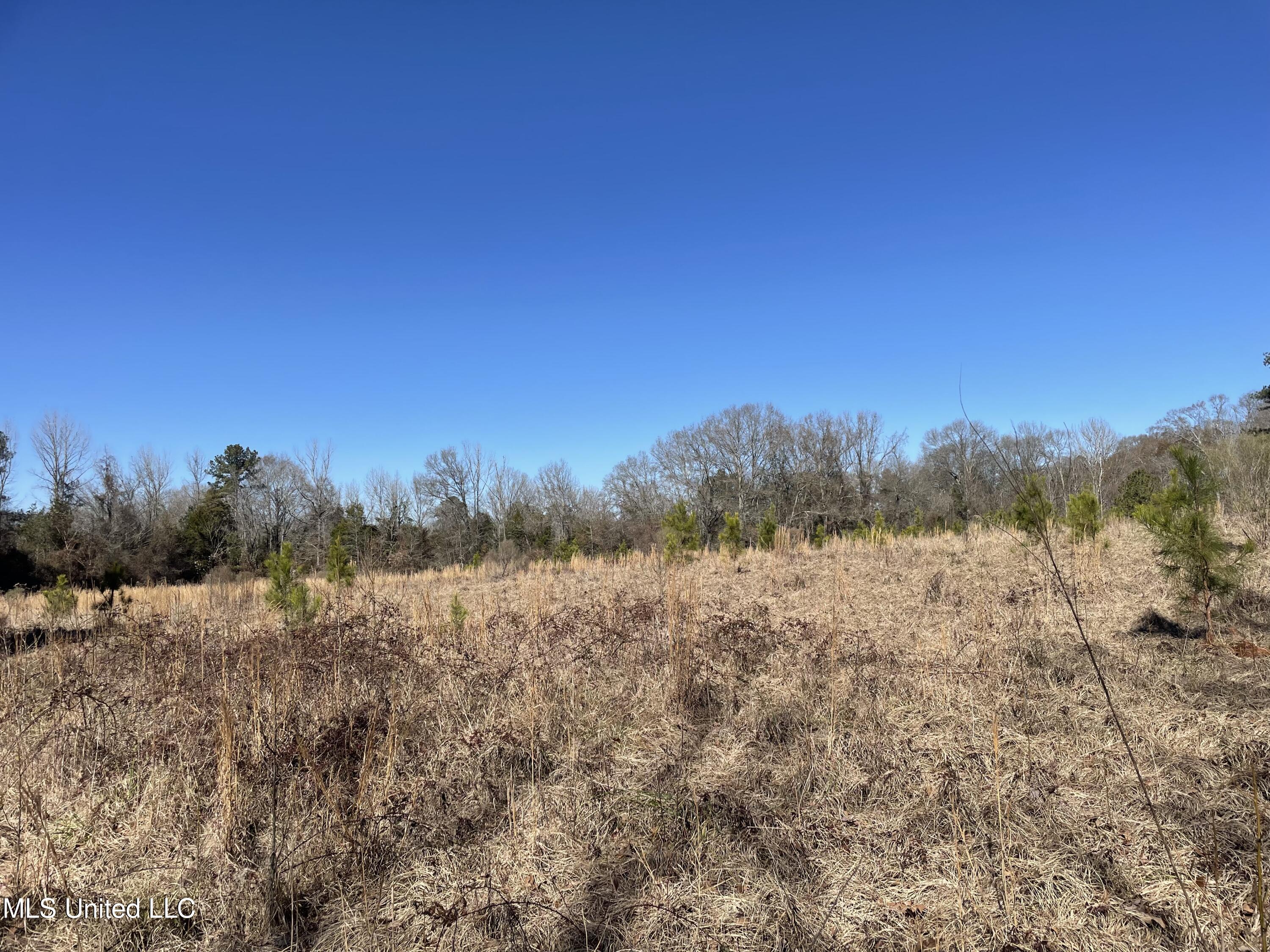 Us-51 Property Photo 7