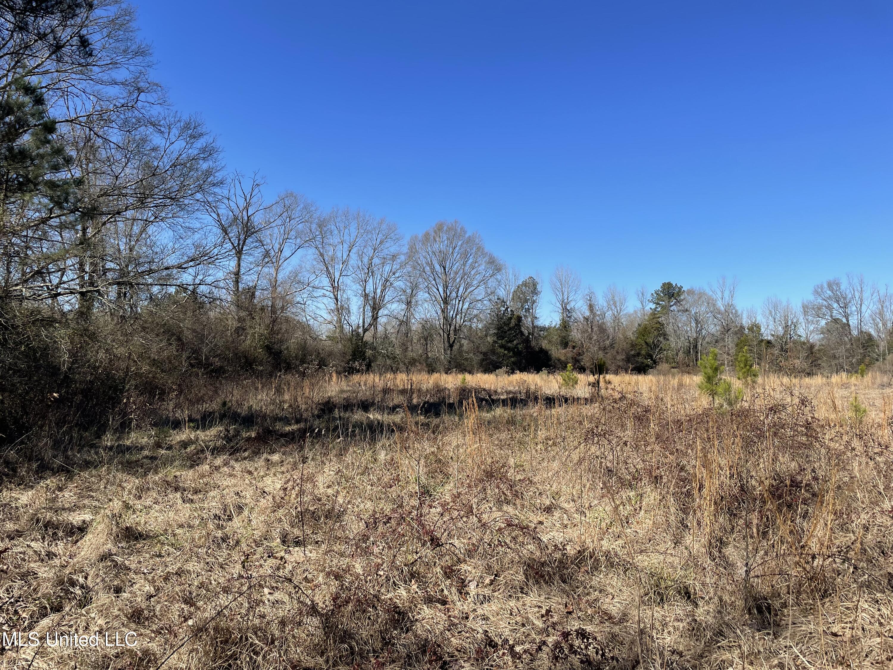 Us-51 Property Photo 8