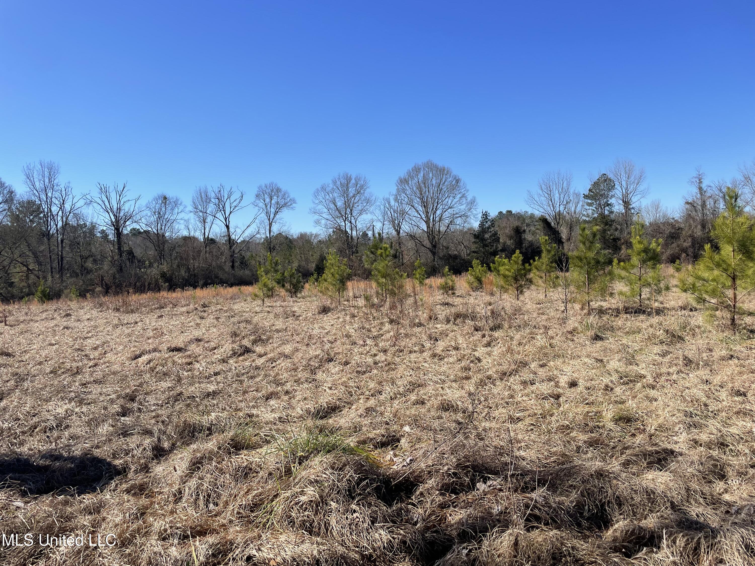 Us-51 Property Photo 9