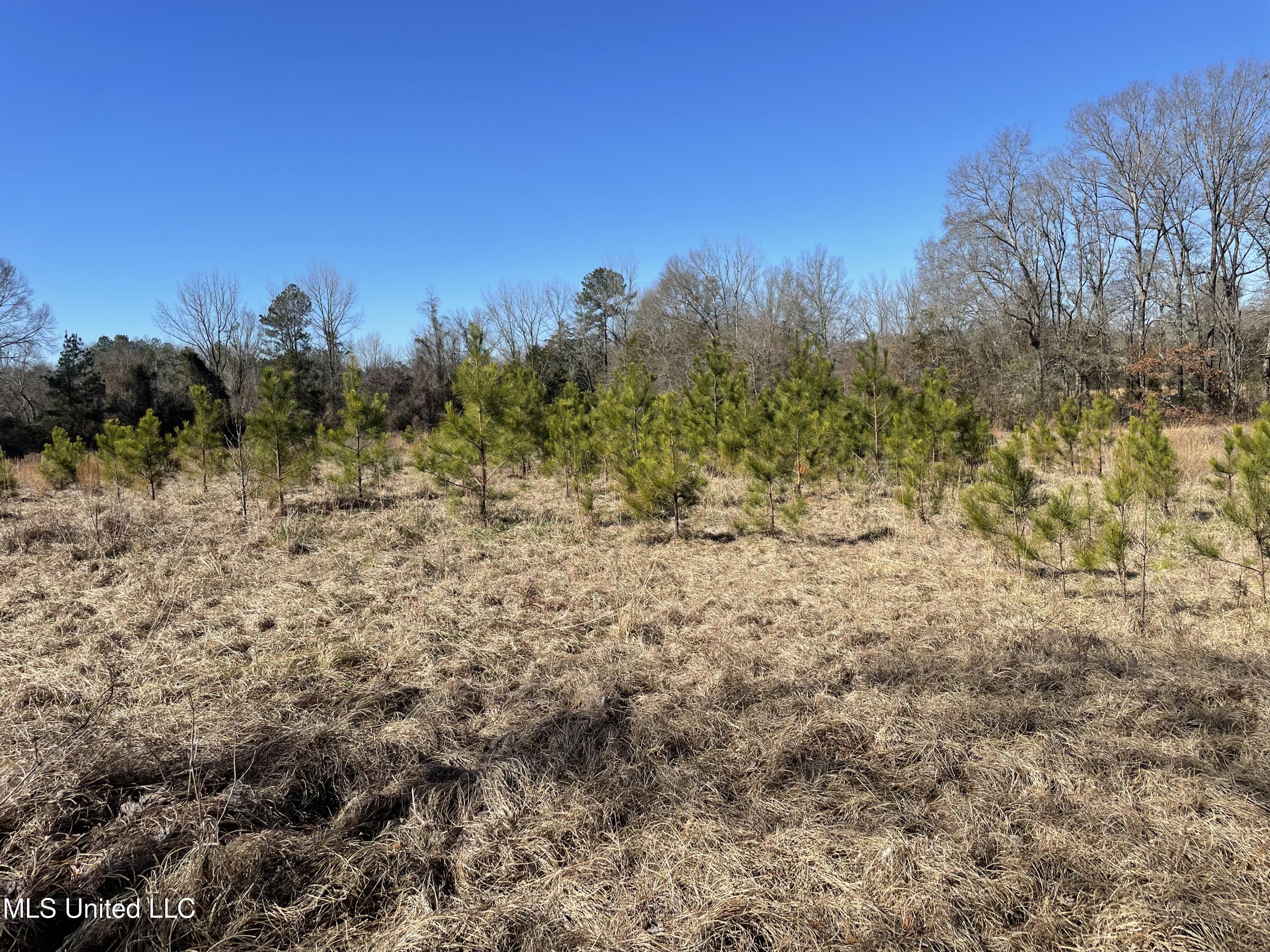 Us-51 Property Photo 10