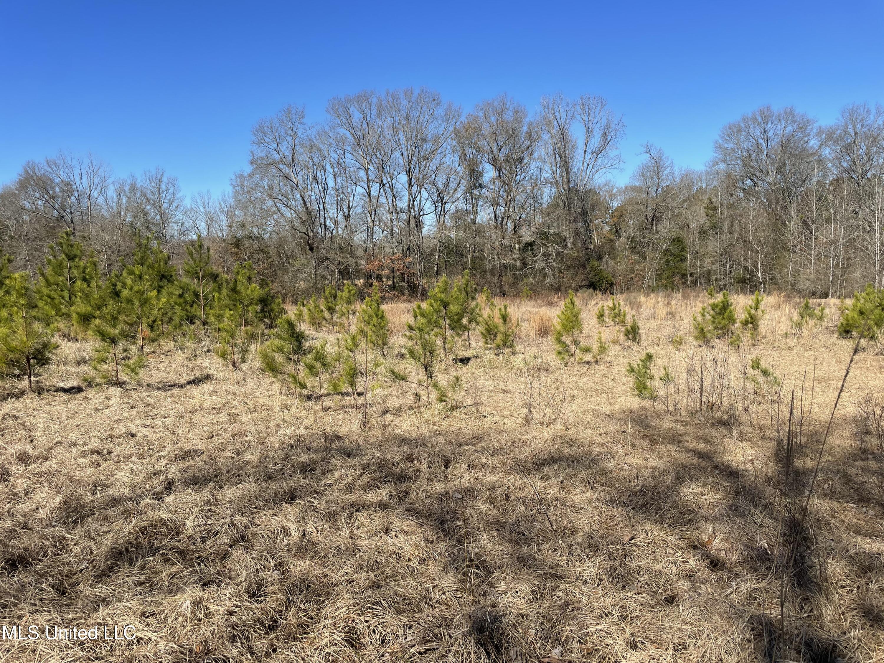 Us-51 Property Photo 11
