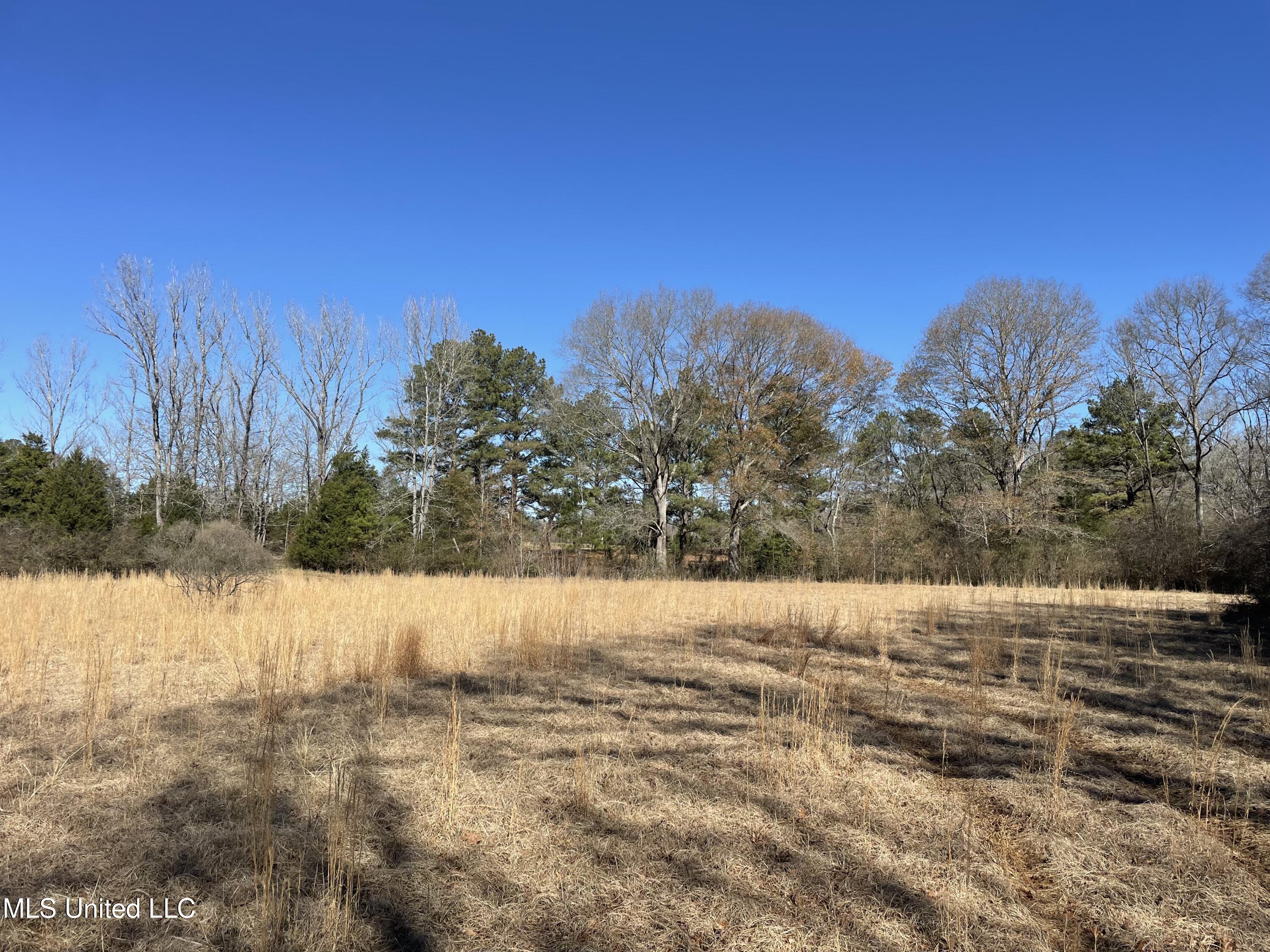 Us-51 Property Photo 12