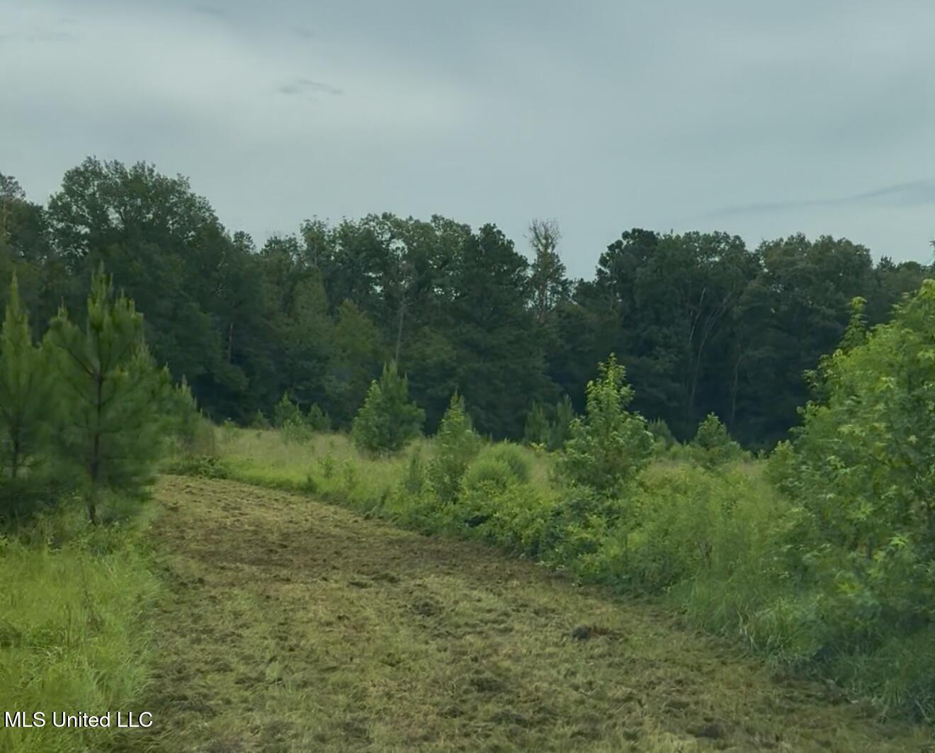 Us-51 Property Photo 3