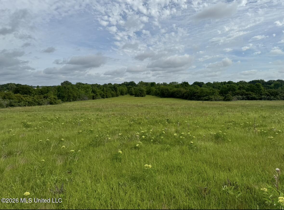 Bozeman Road Property Photo 4
