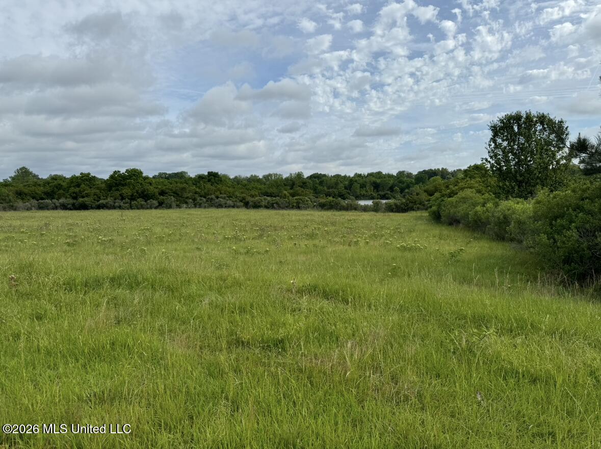 Bozeman Road Property Photo 5