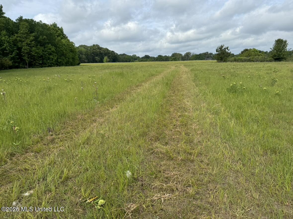 Bozeman Road Property Photo 6