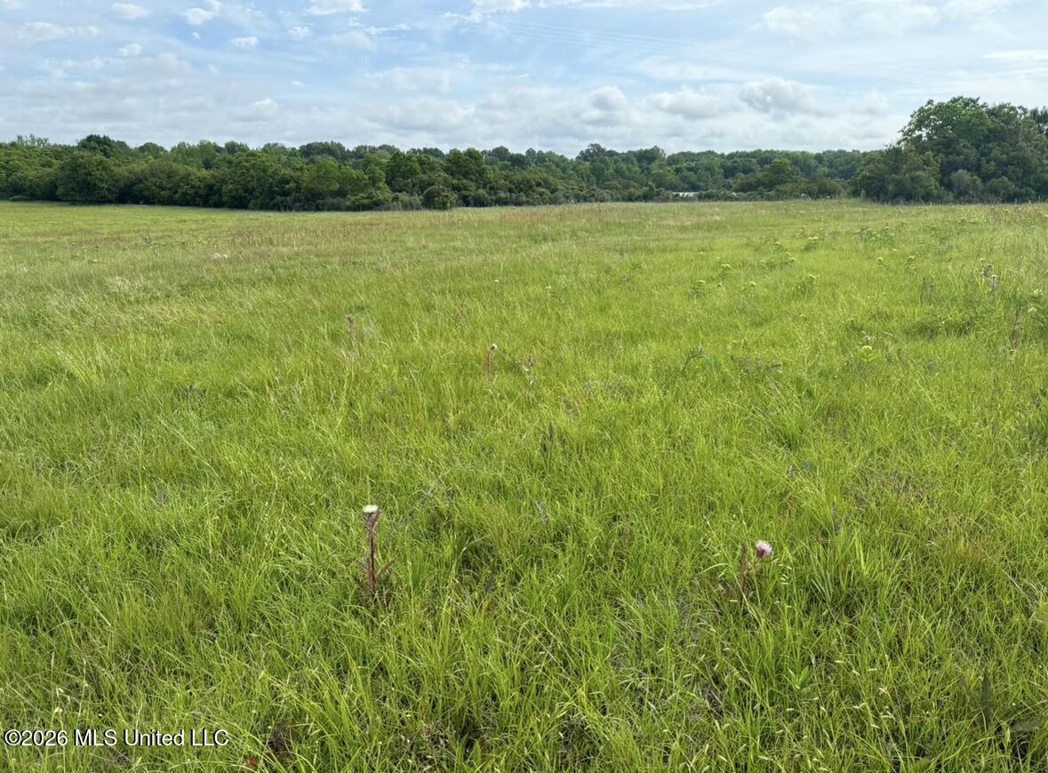 Bozeman Road Property Photo 9