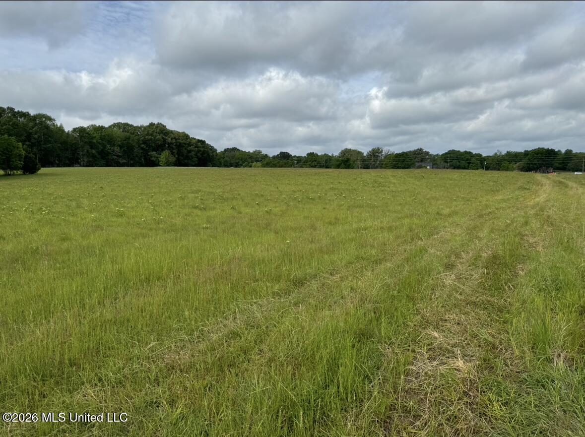 Bozeman Road Property Photo 10
