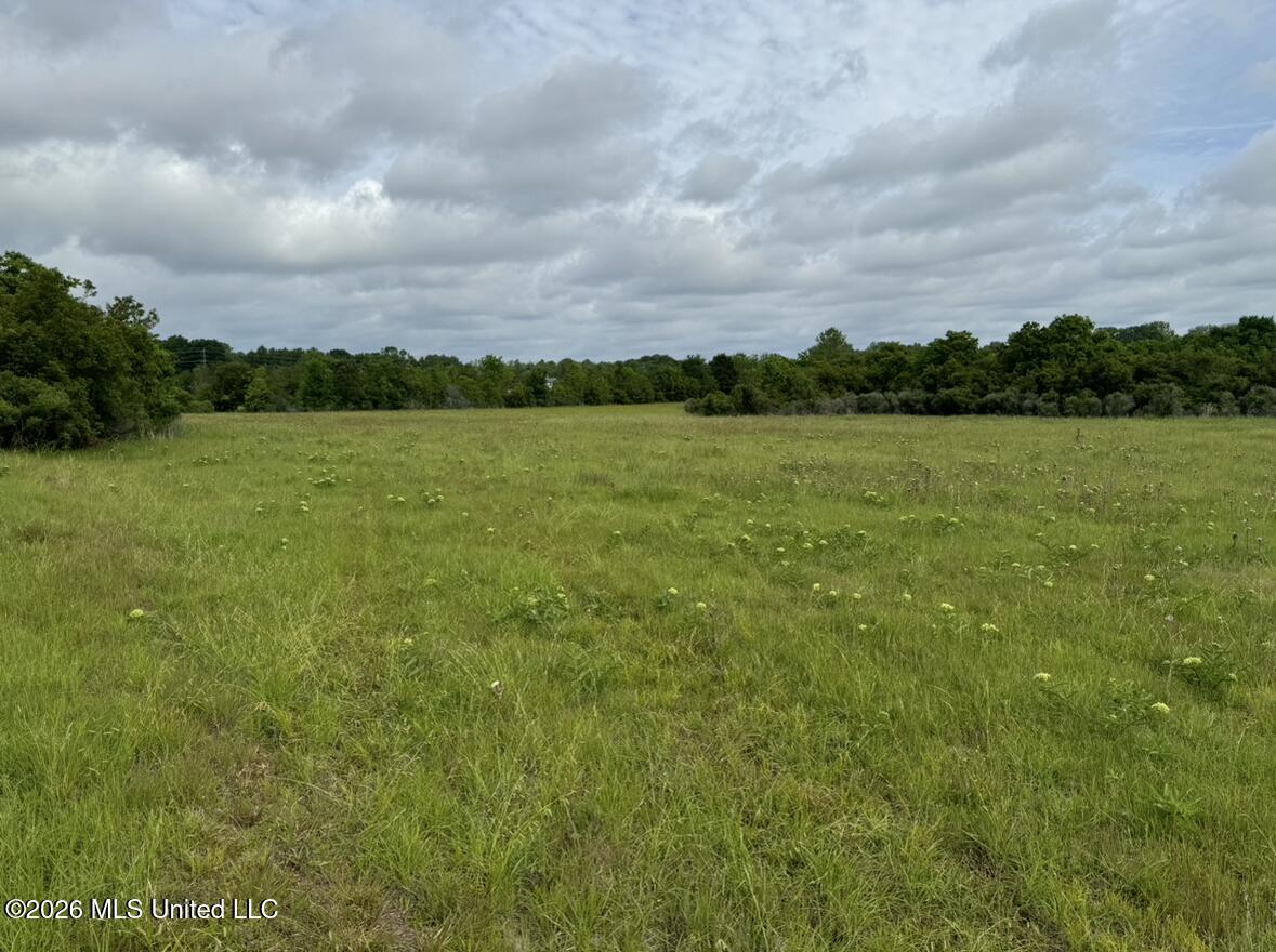 Bozeman Road Property Photo 11
