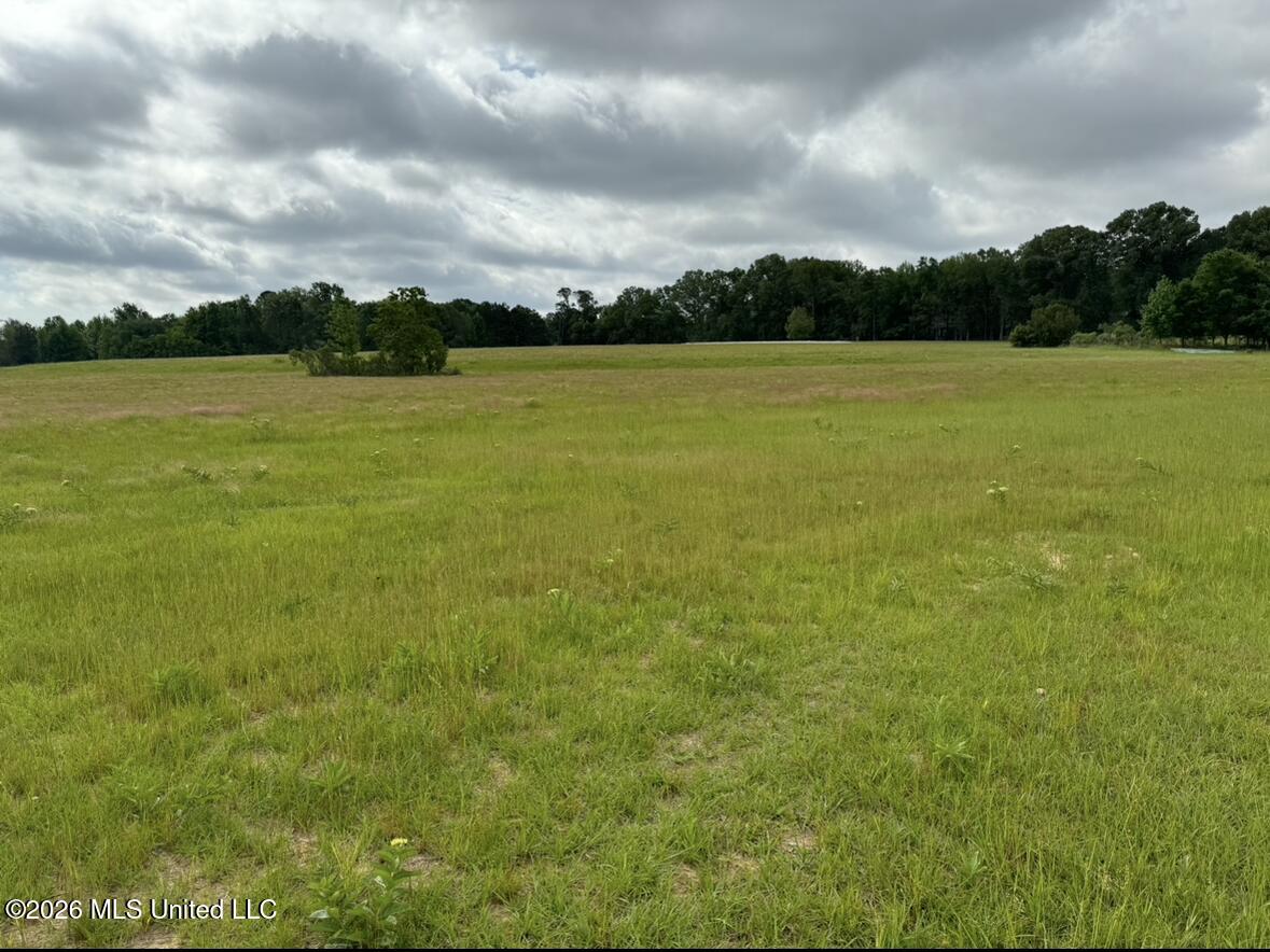 Bozeman Road Property Photo 13