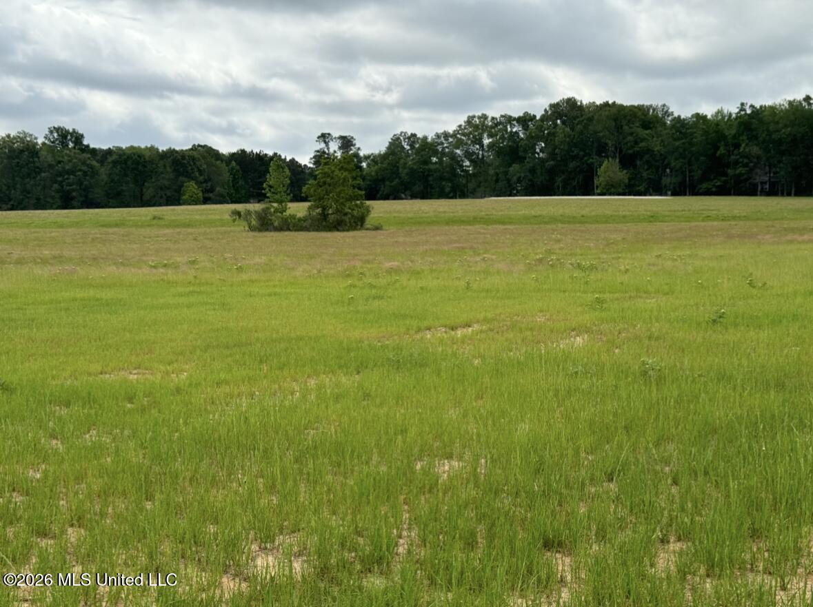 Bozeman Road Property Photo 14