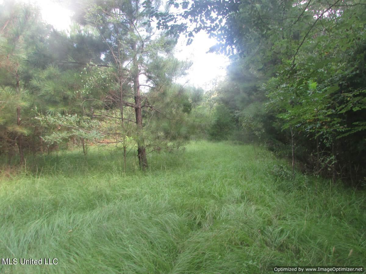 Sharon Road Road Property Photo 4