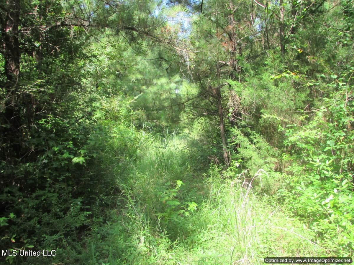 Sharon Road Road Property Photo 6