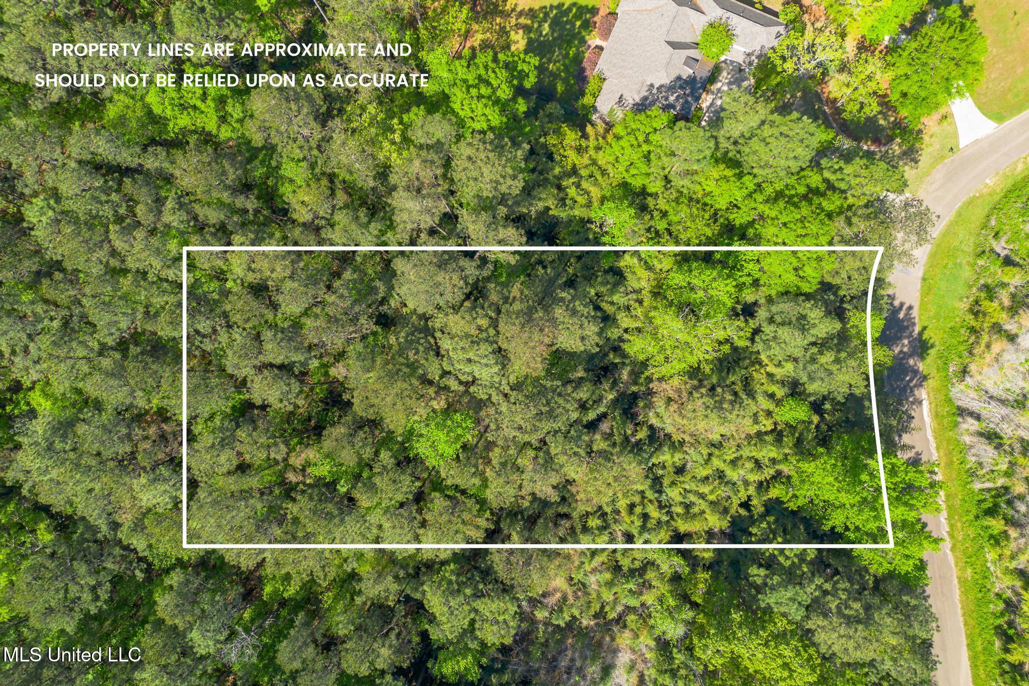 00 Steep Hollow Property Photo 1