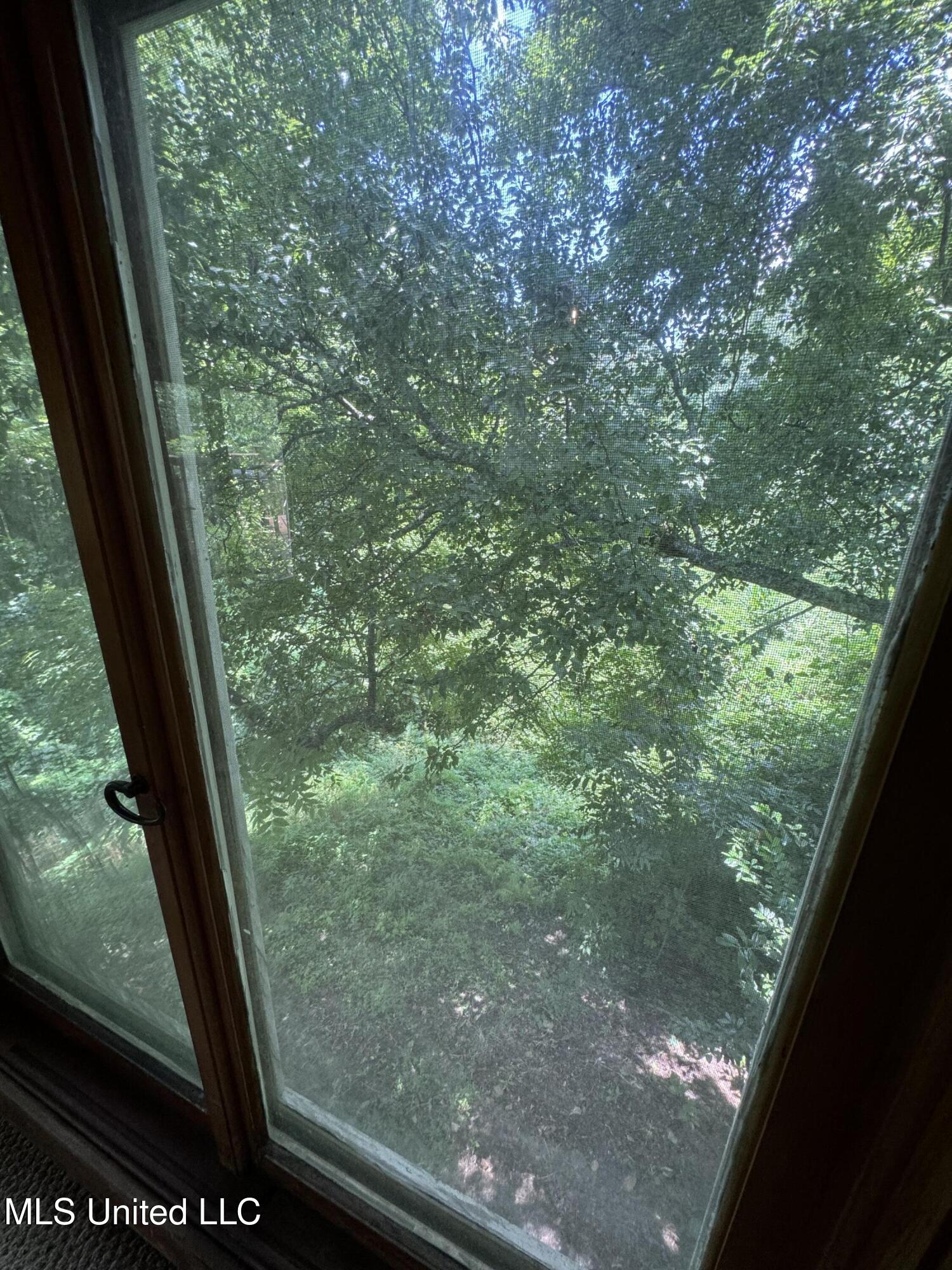 304 Lambert Street Property Photo 21