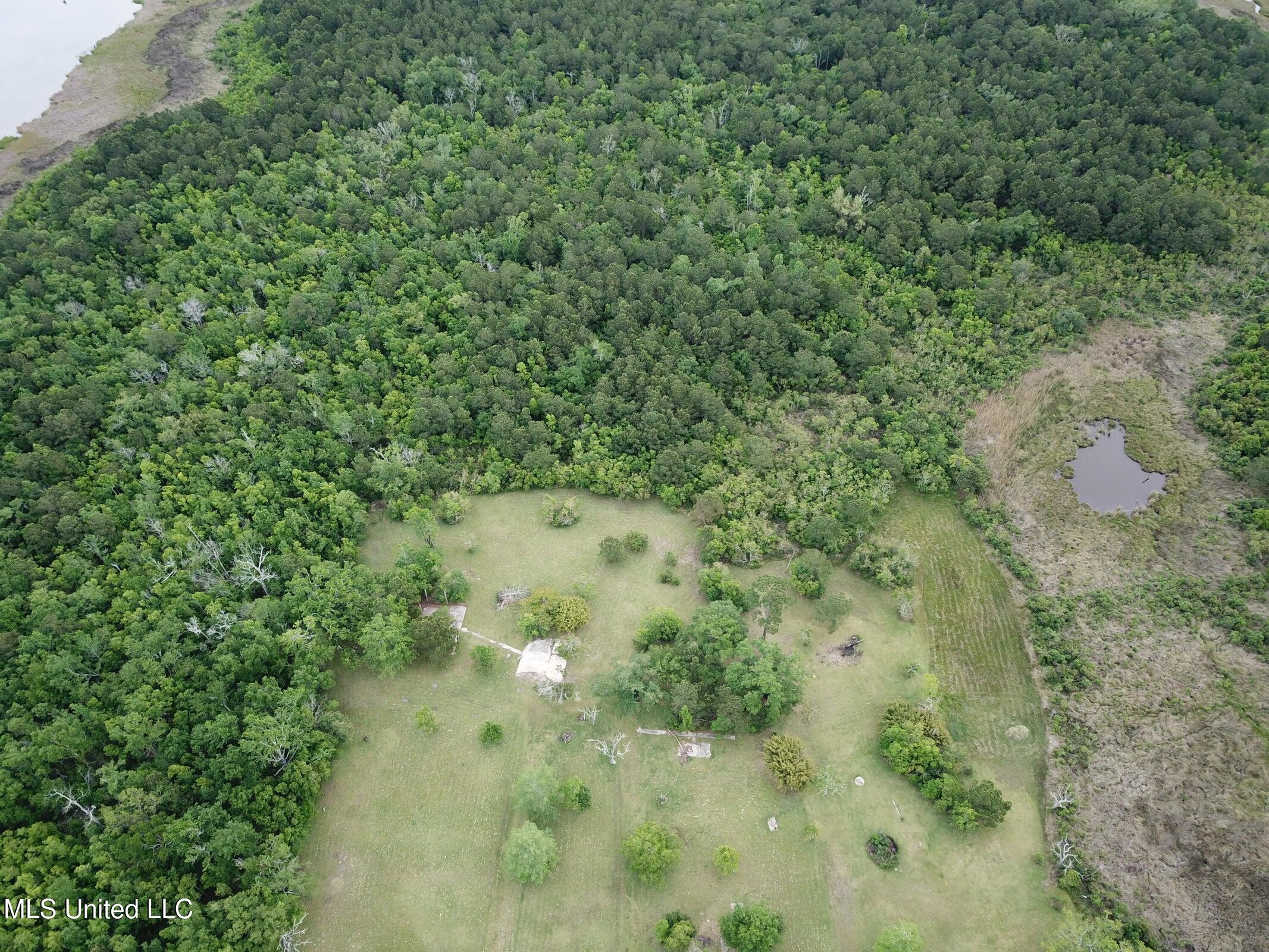 5532 Lakeshore Road Property Photo 4