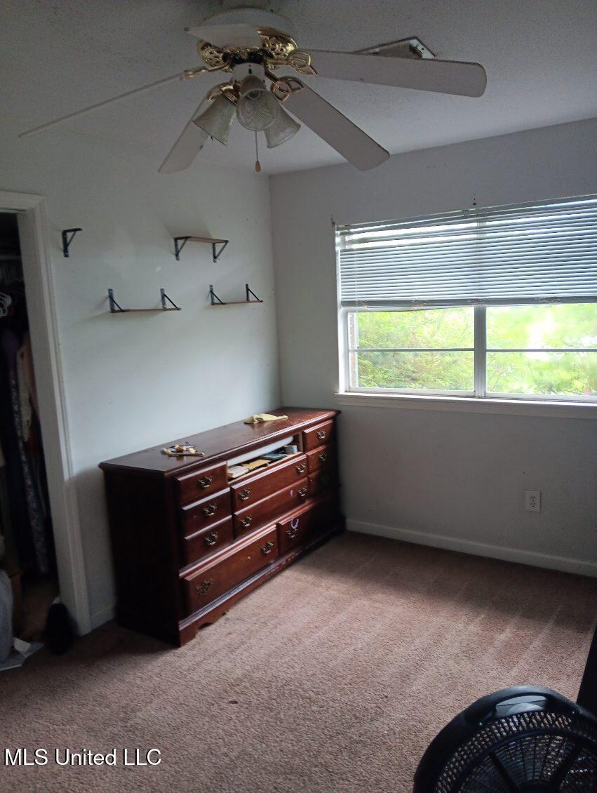 103 Reeves Street Property Photo 3