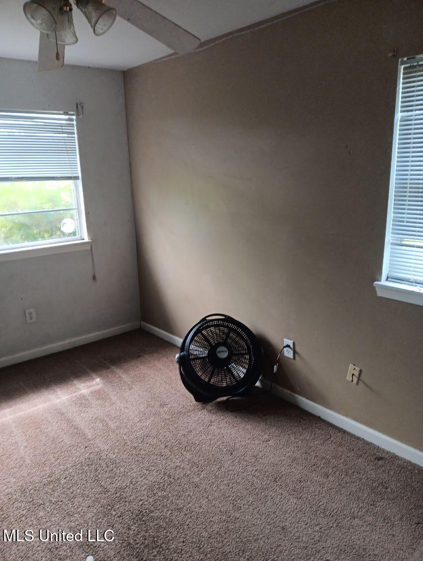 103 Reeves Street Property Photo 9