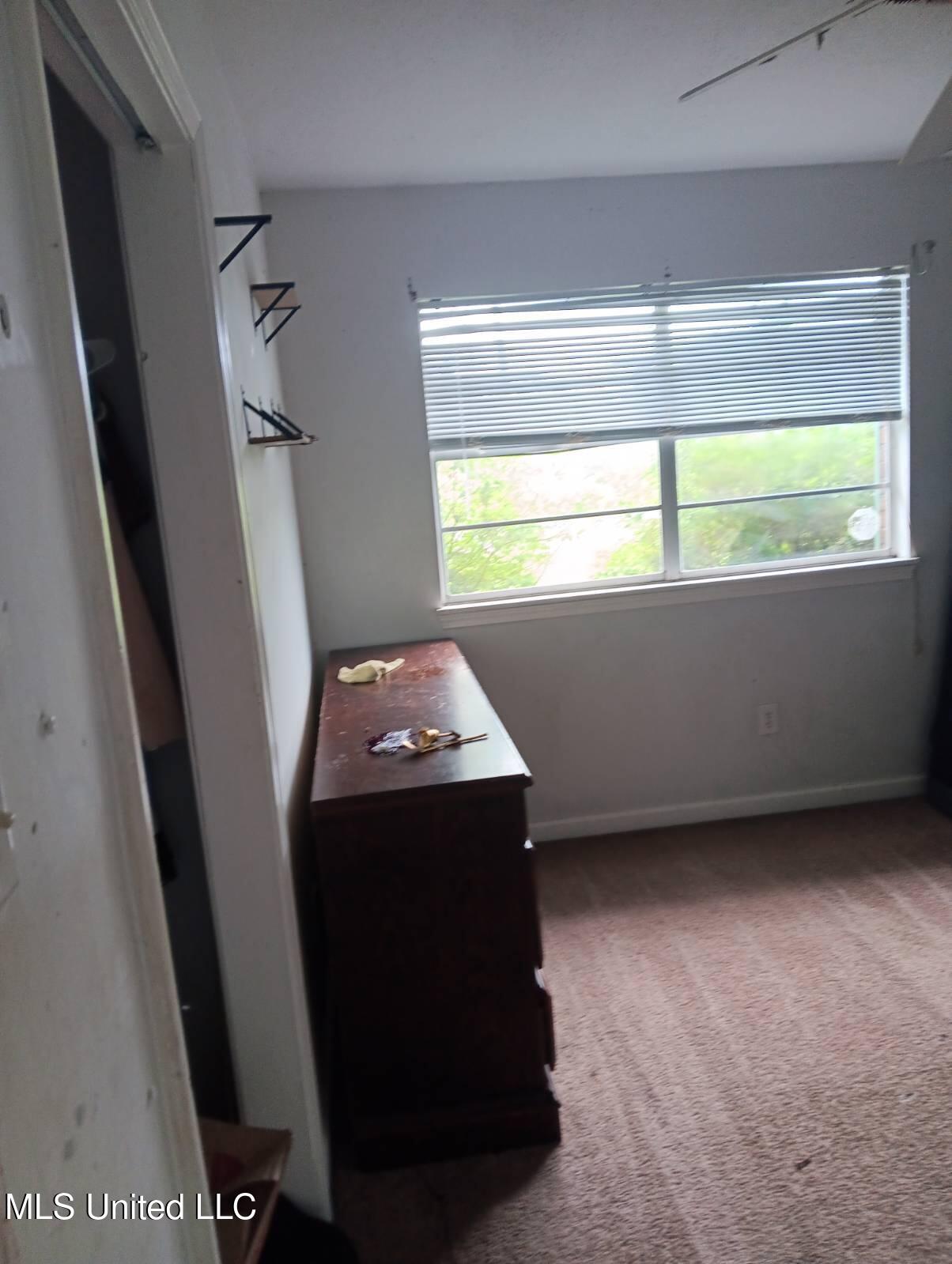 103 Reeves Street Property Photo 12