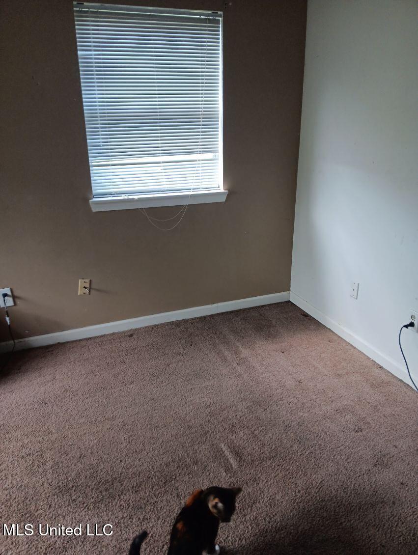 103 Reeves Street Property Photo 13