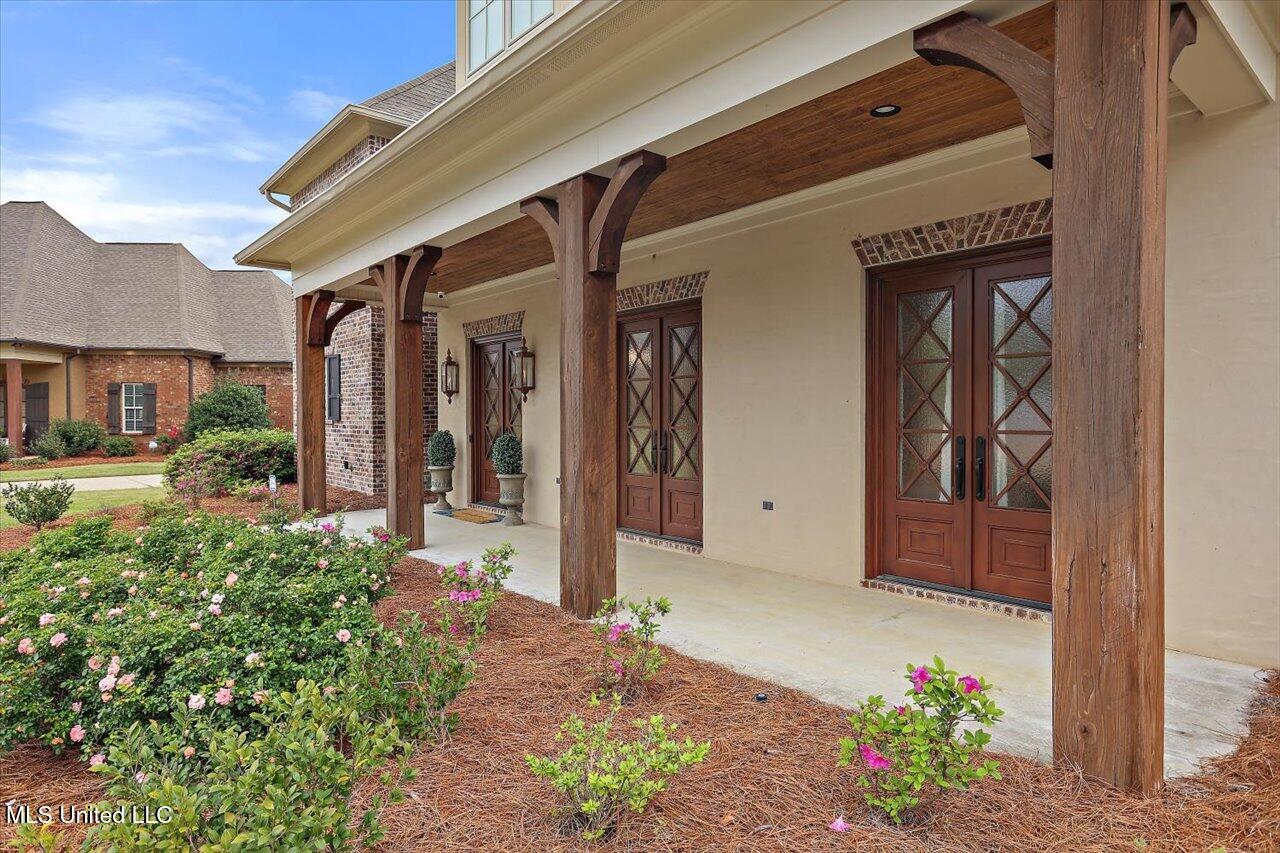 204 St Charlotte Cove Property Photo 11