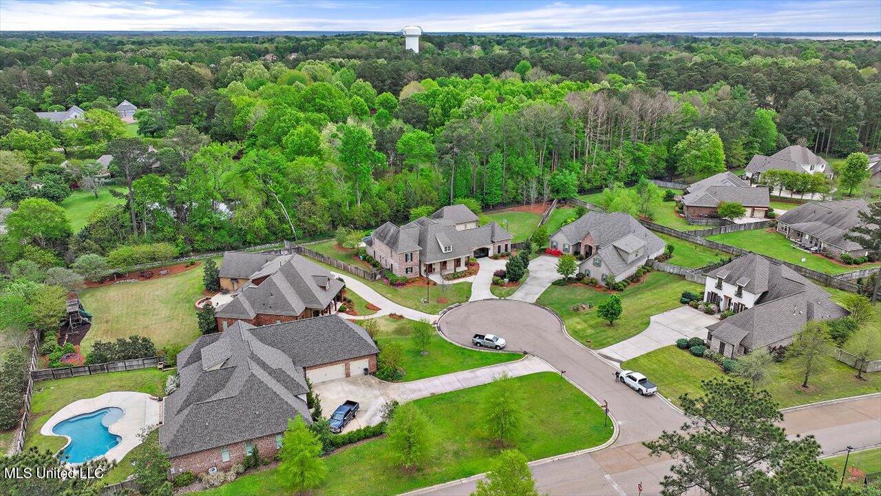 204 St Charlotte Cove Property Photo 89