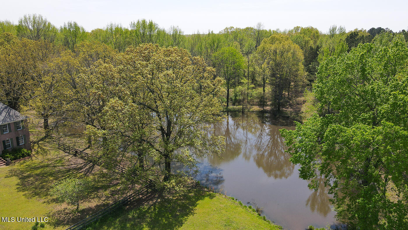 5480 Polk Lane Property Photo 7