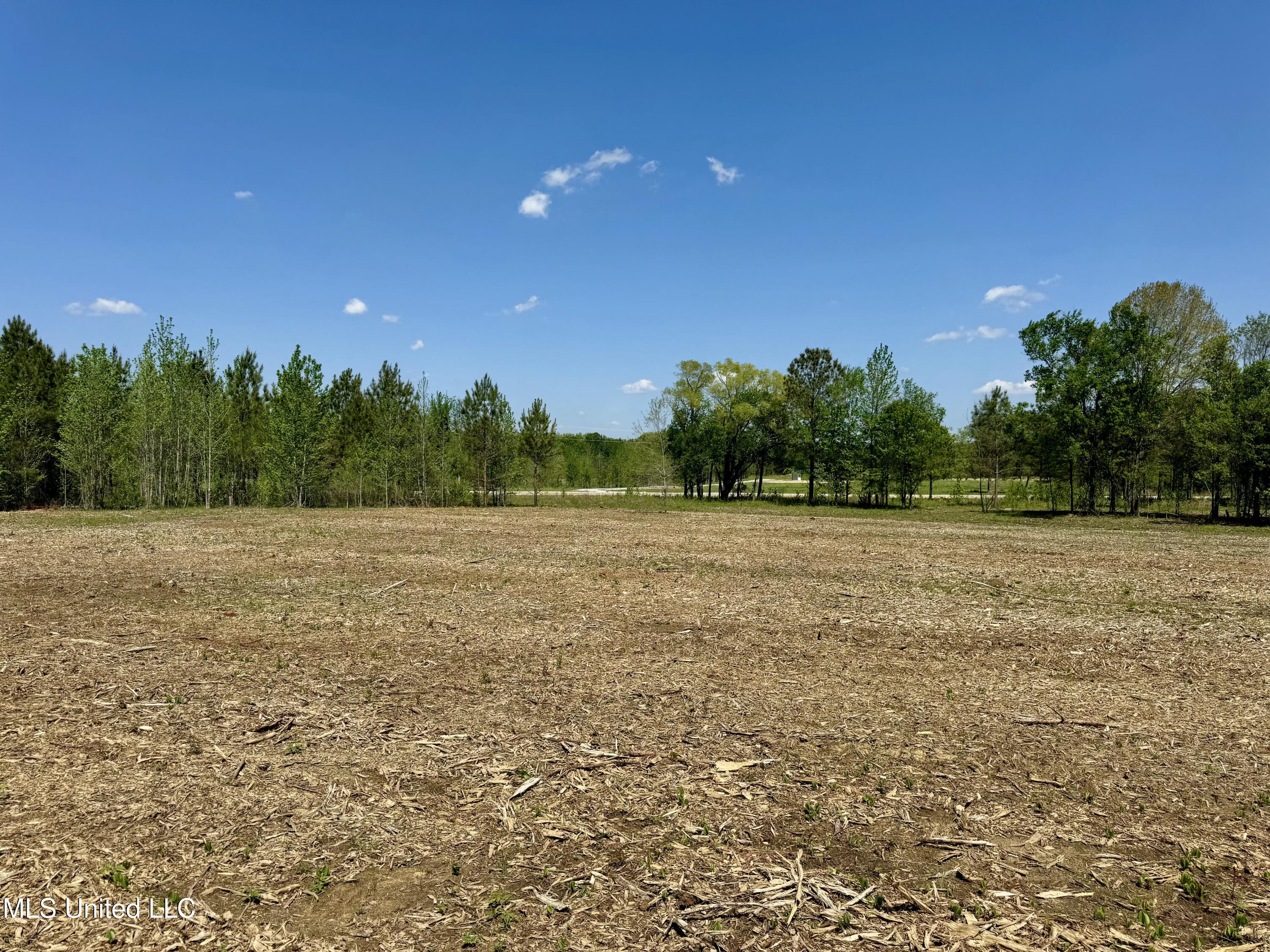 Windfall Trail Property Photo 6
