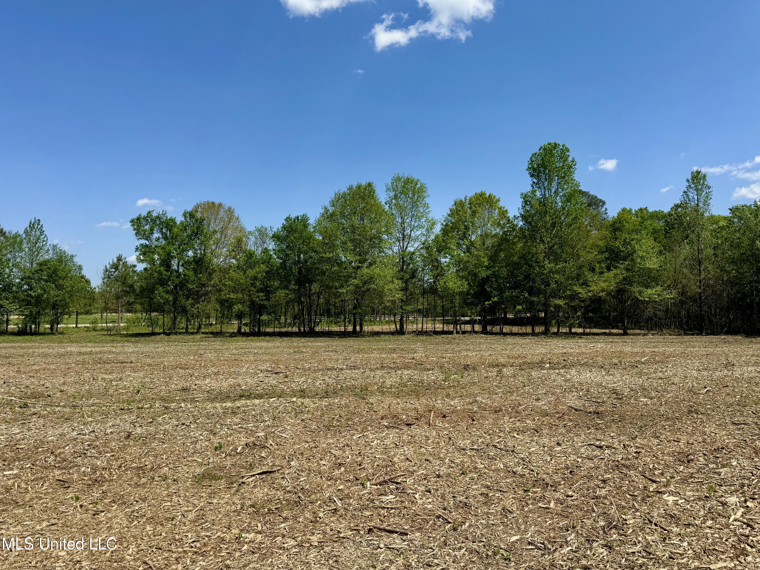 Windfall Trail Property Photo 7