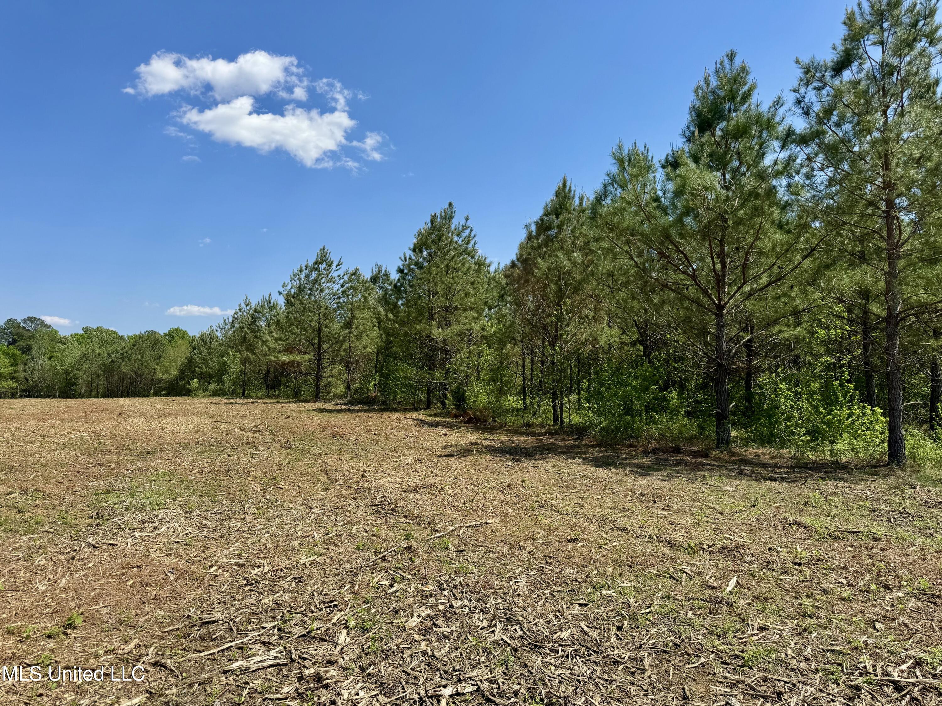 Windfall Trail Property Photo 8