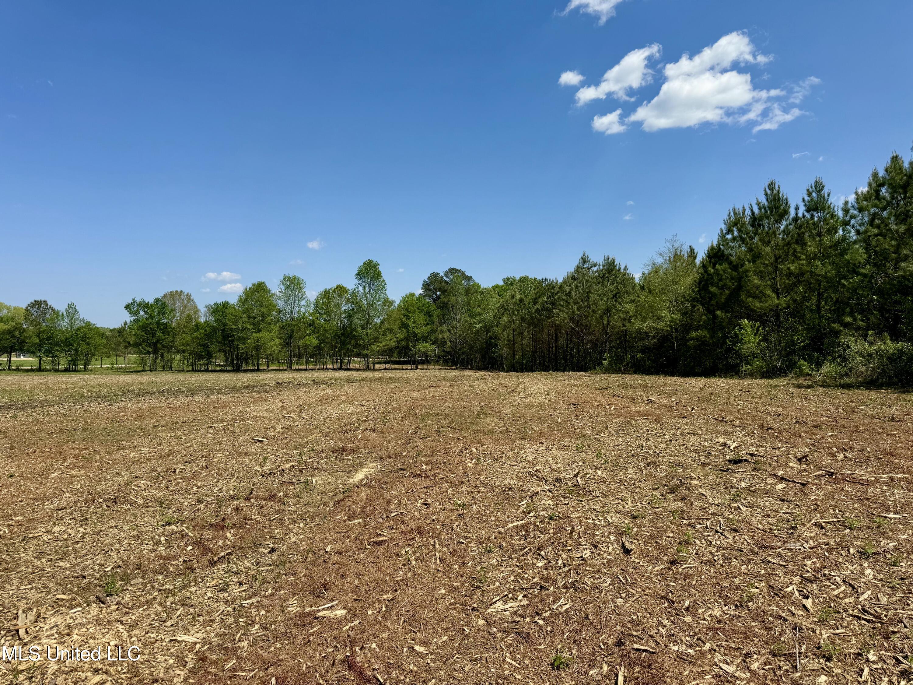 Windfall Trail Property Photo 10