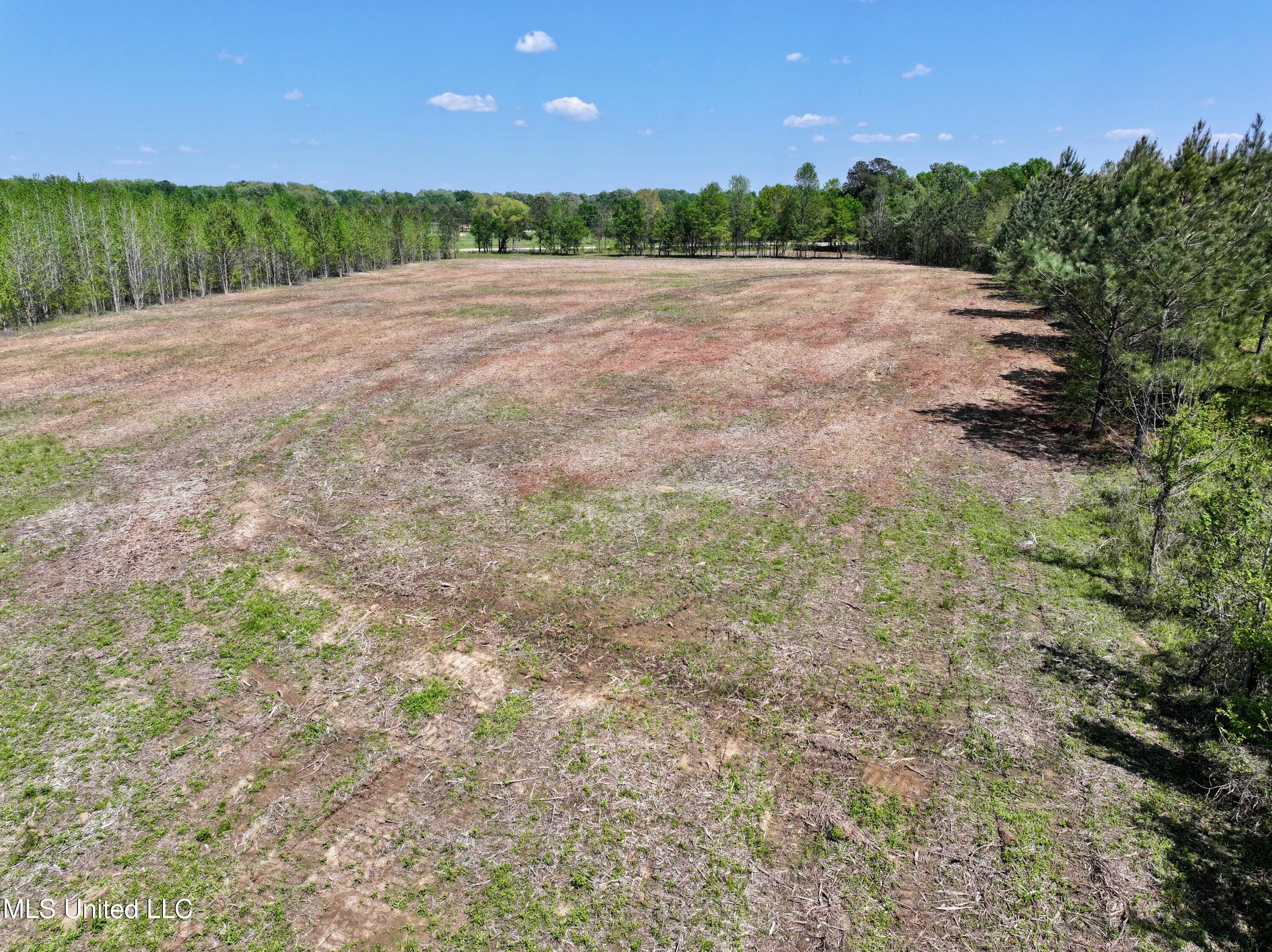Windfall Trail Property Photo 17