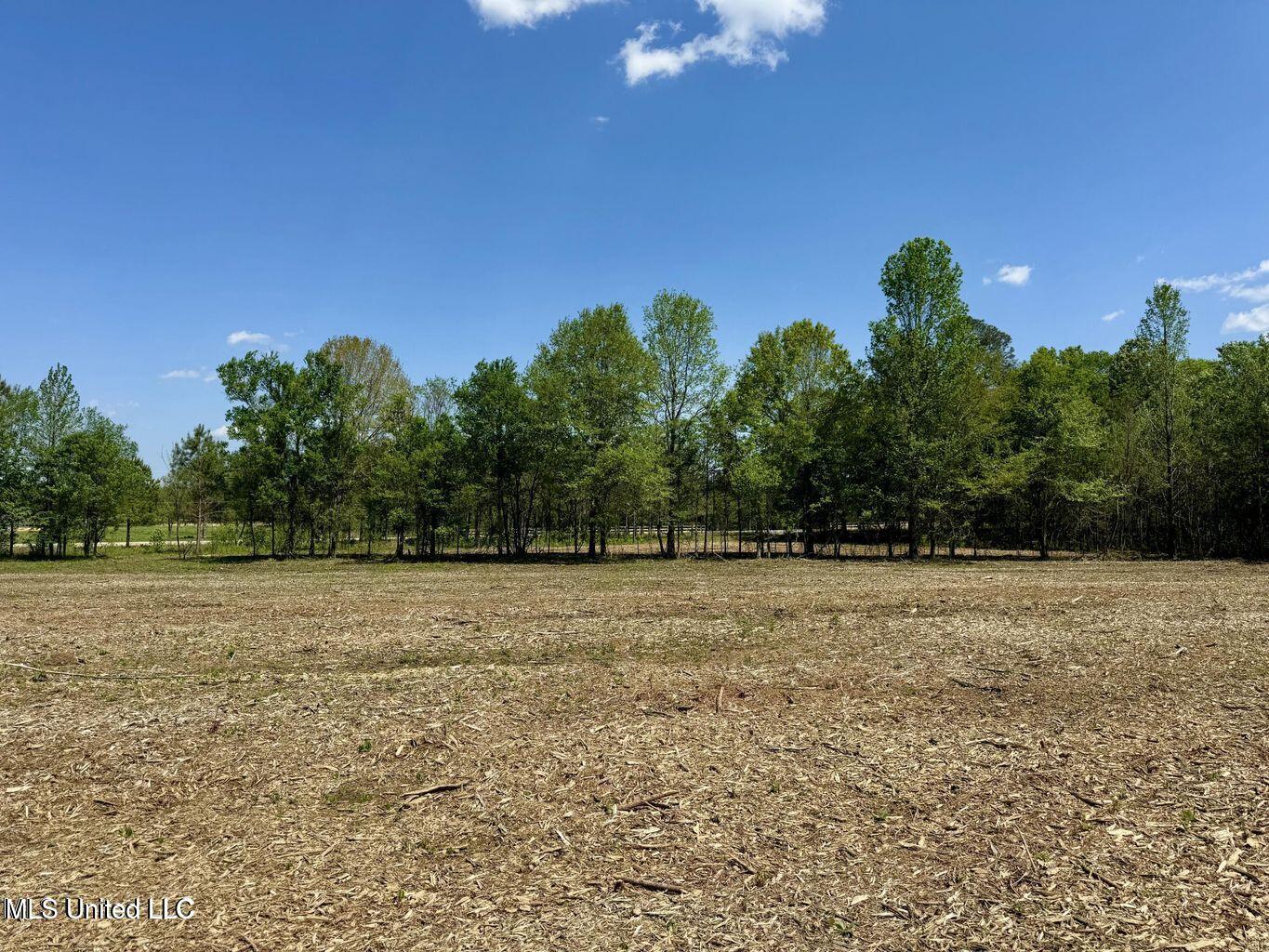 Windfall Trail Property Photo 20
