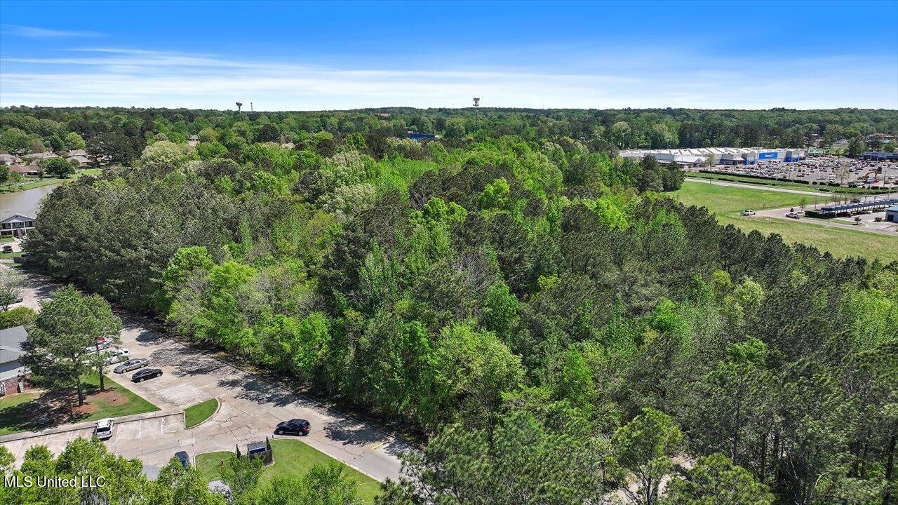 0 Roland Drive Property Photo 10
