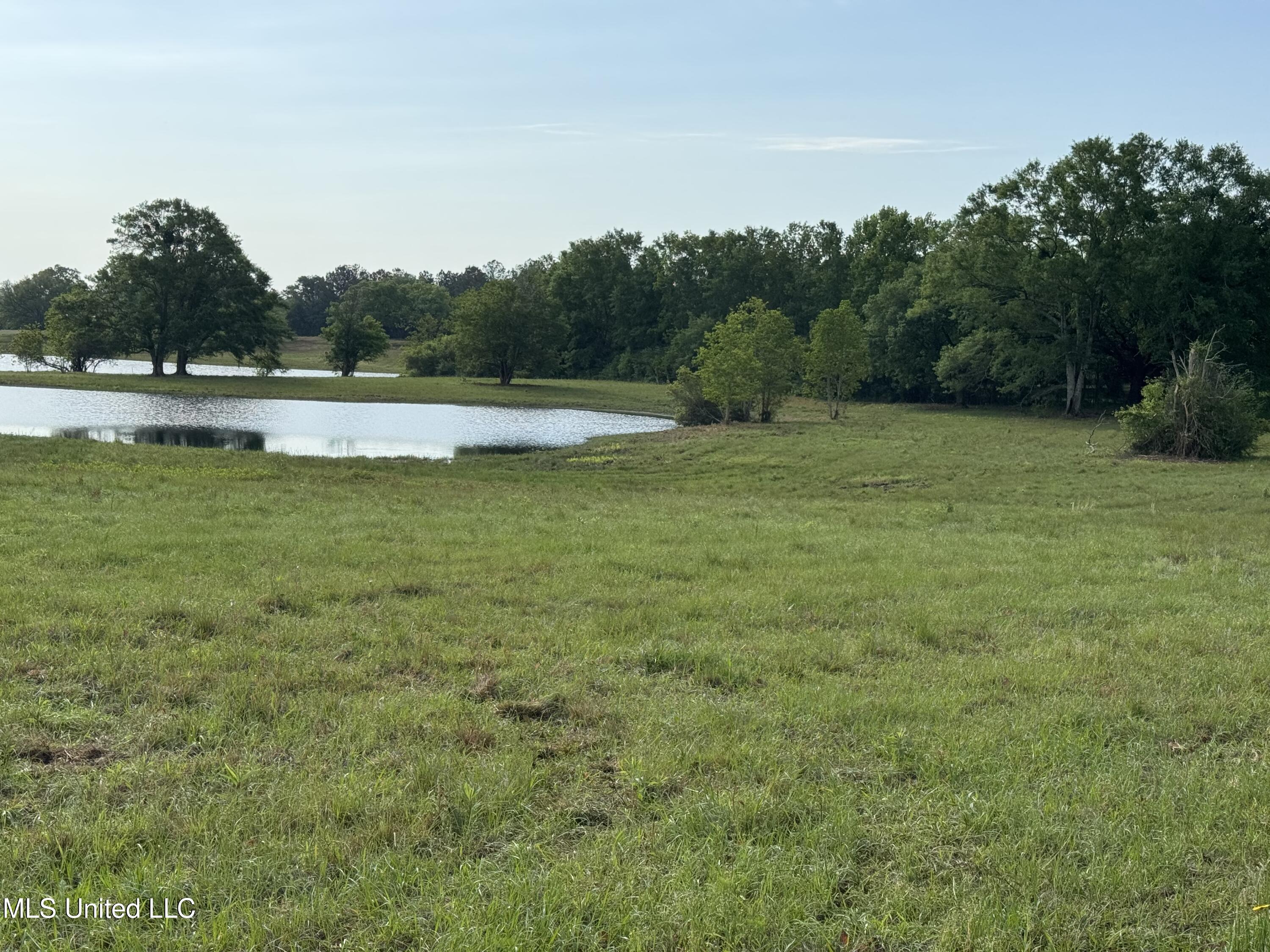20118 Hwy 603 Lot 5 Property Photo 4