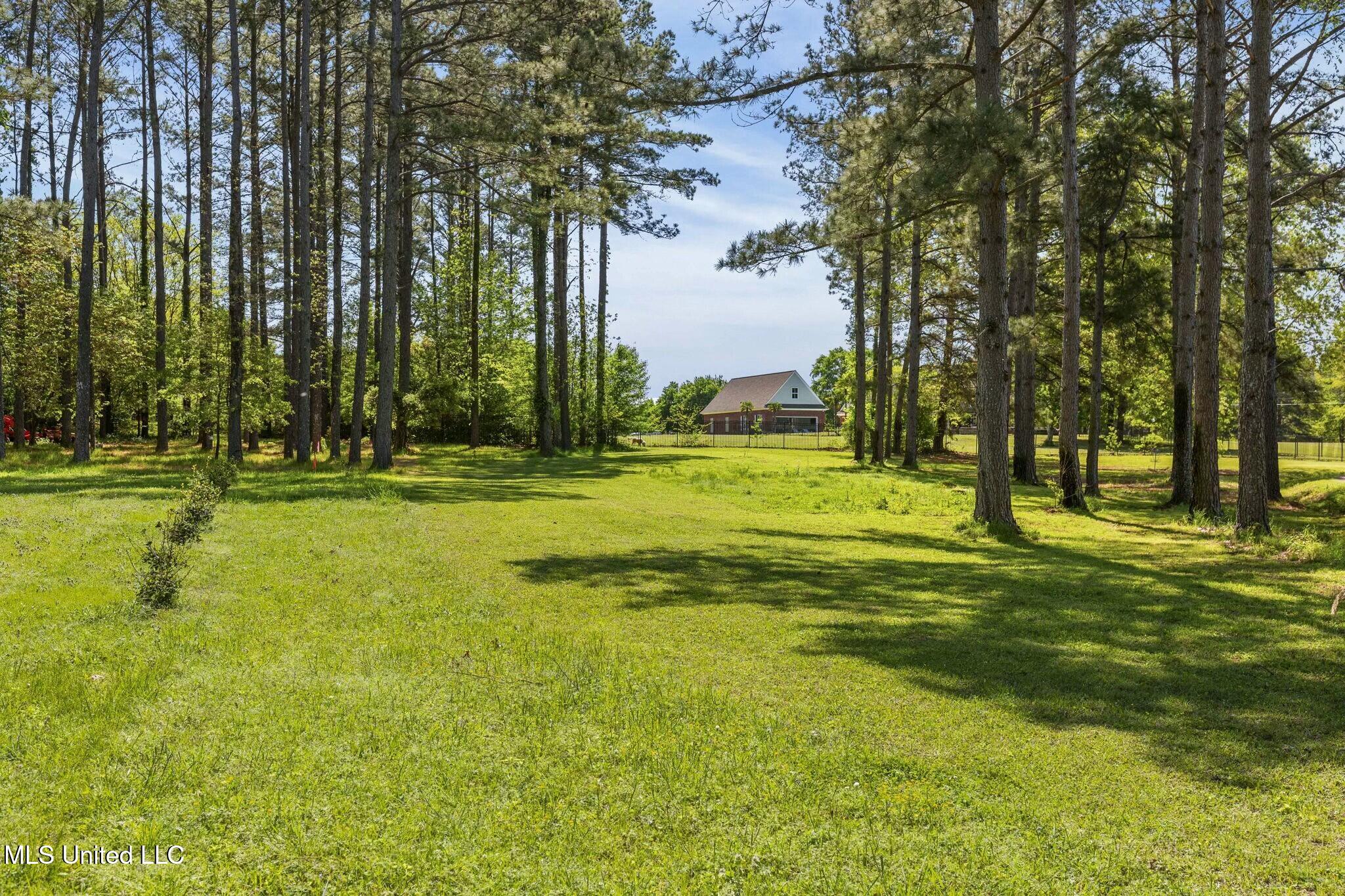 109 Plantation Drive Property Photo 99