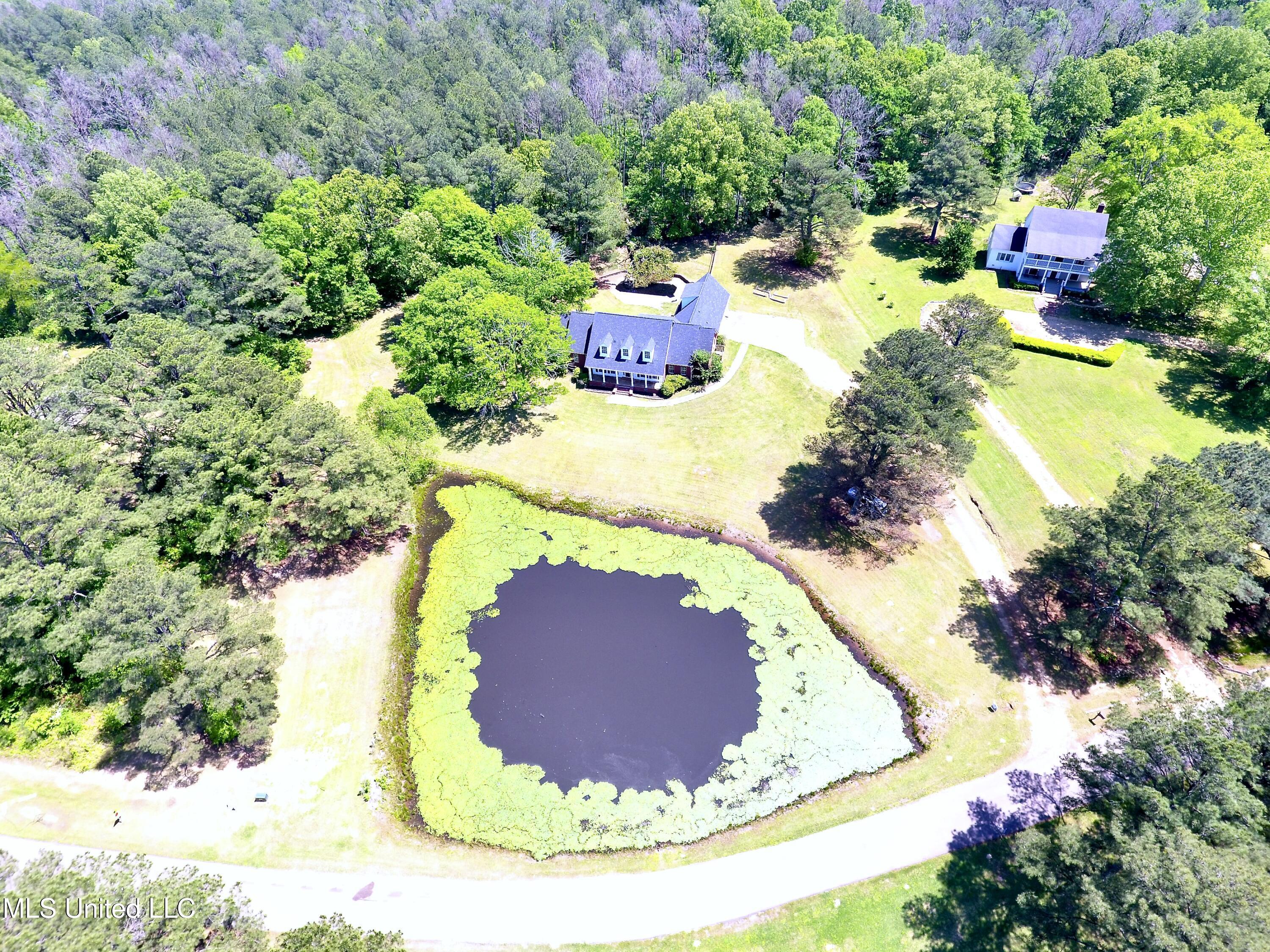 120 Timber Green Lane Property Photo 4
