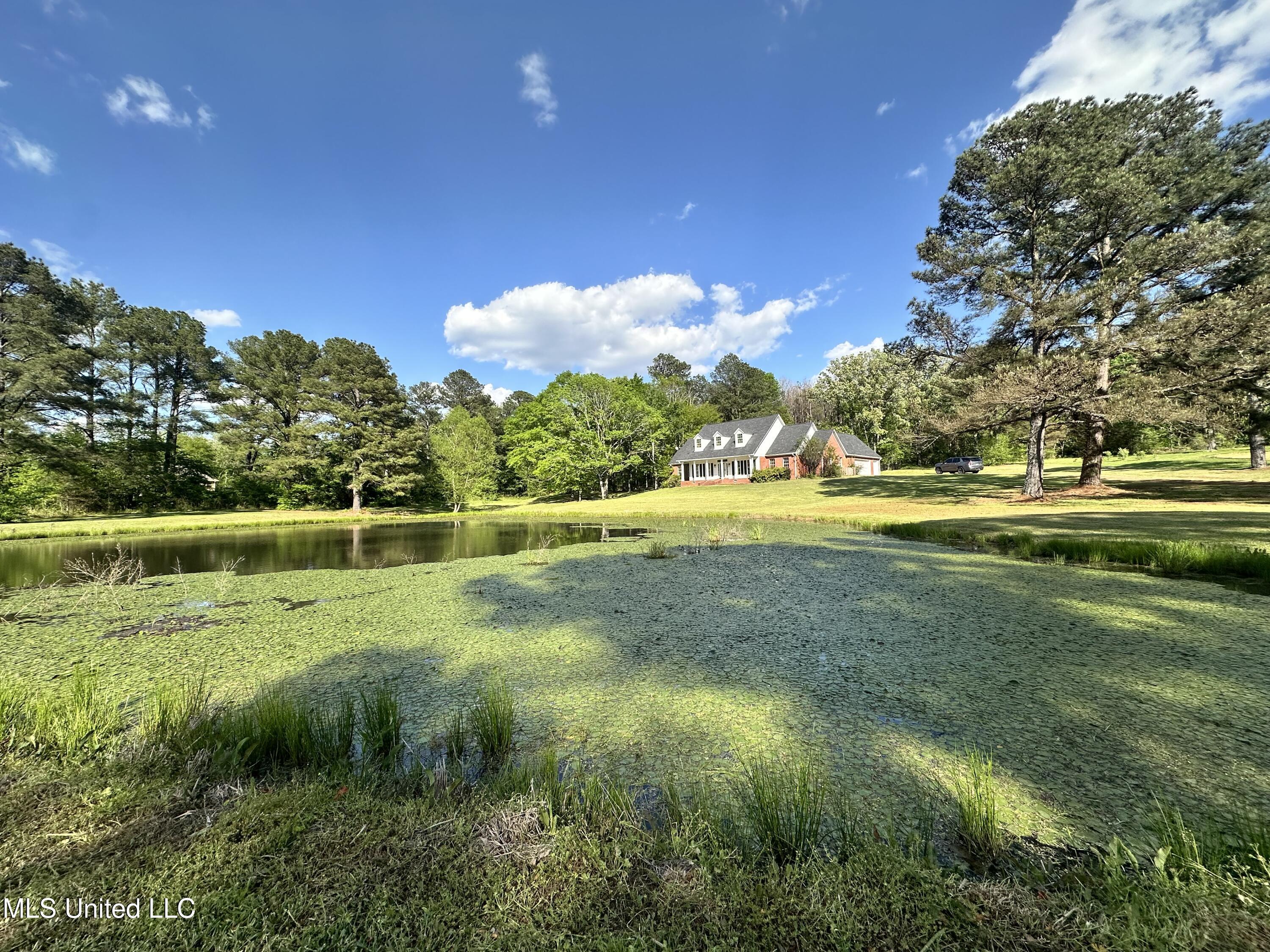 120 Timber Green Lane Property Photo 7