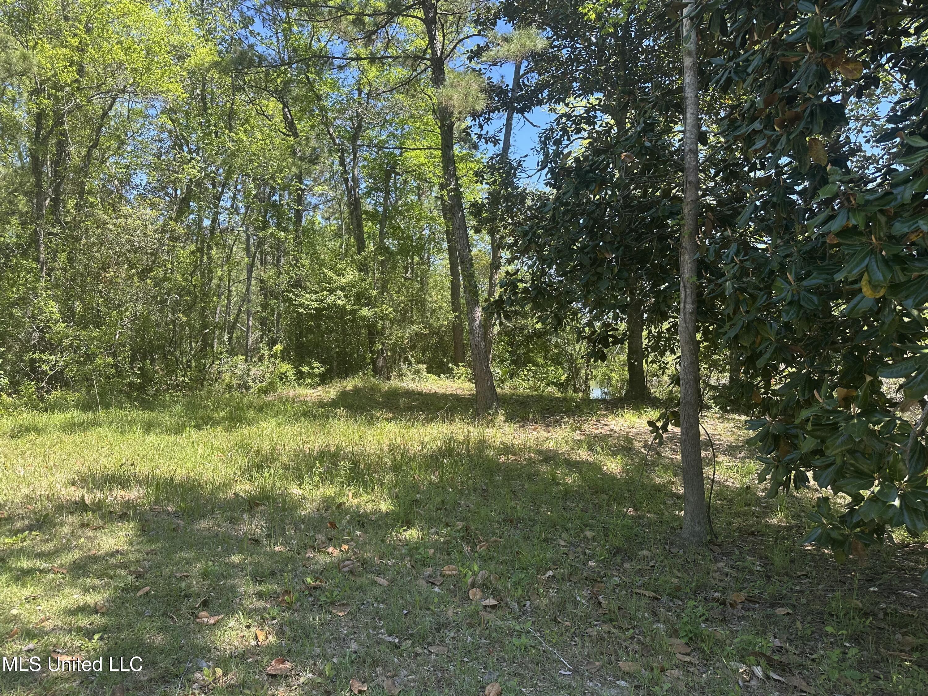 0 Riverland Drive Property Photo 6
