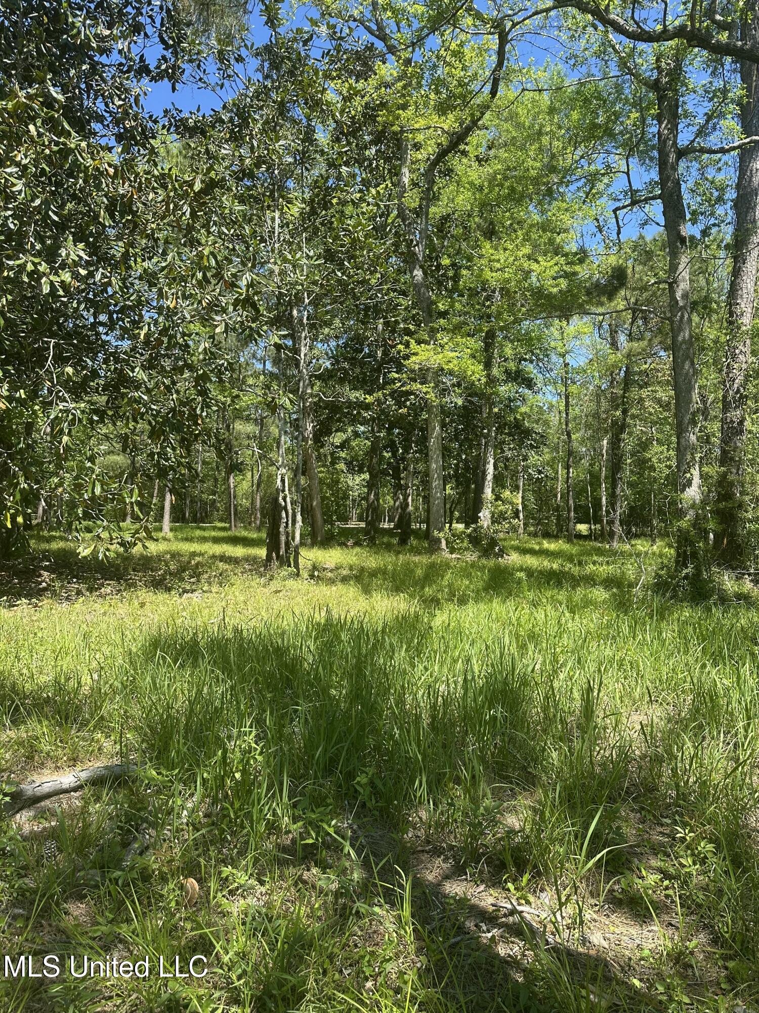 0 Riverland Drive Property Photo 11